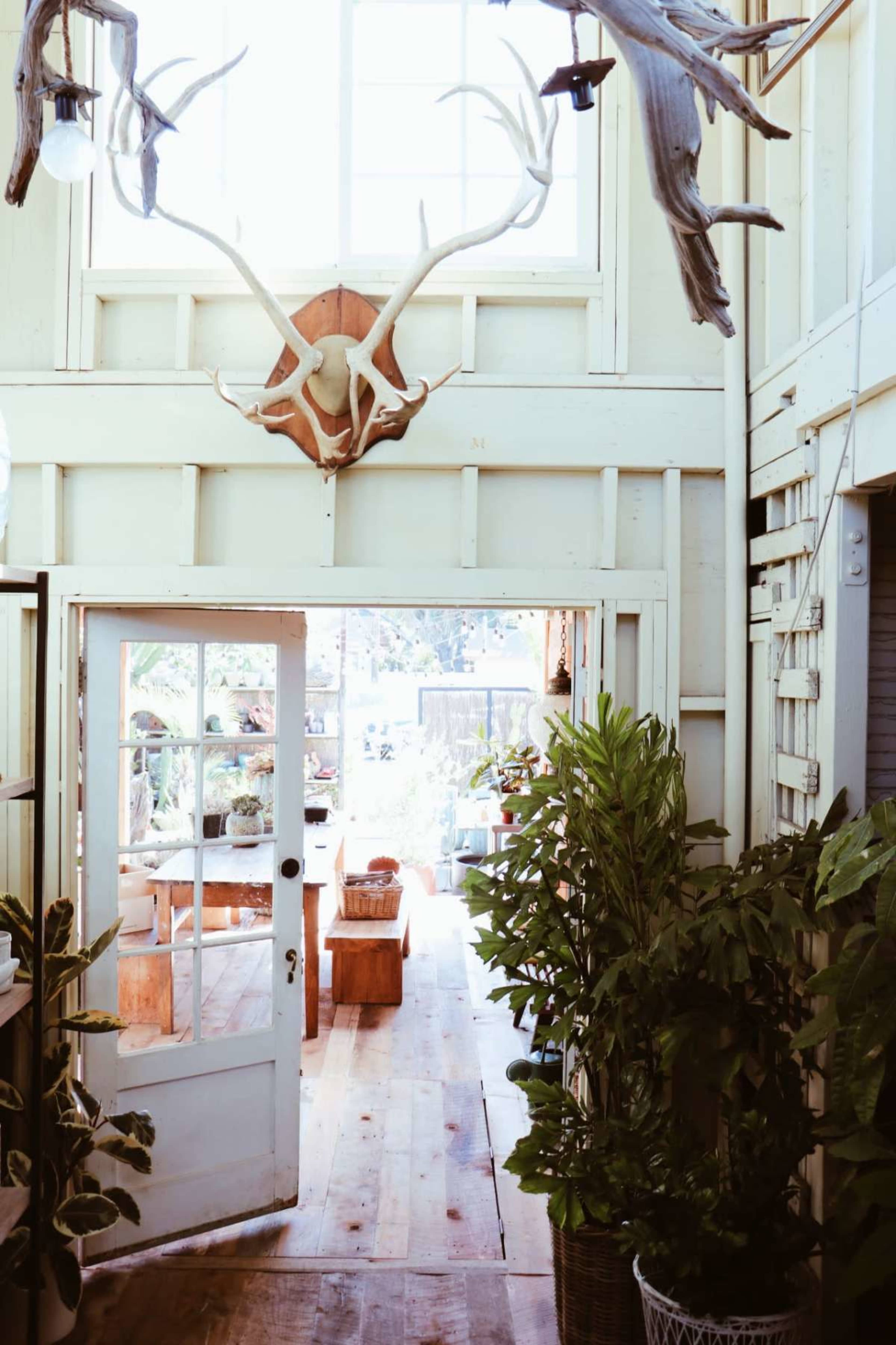 A hallway with wooden flooring features a large set of glass doors at the end and an antler-mounted trophy on the wall.