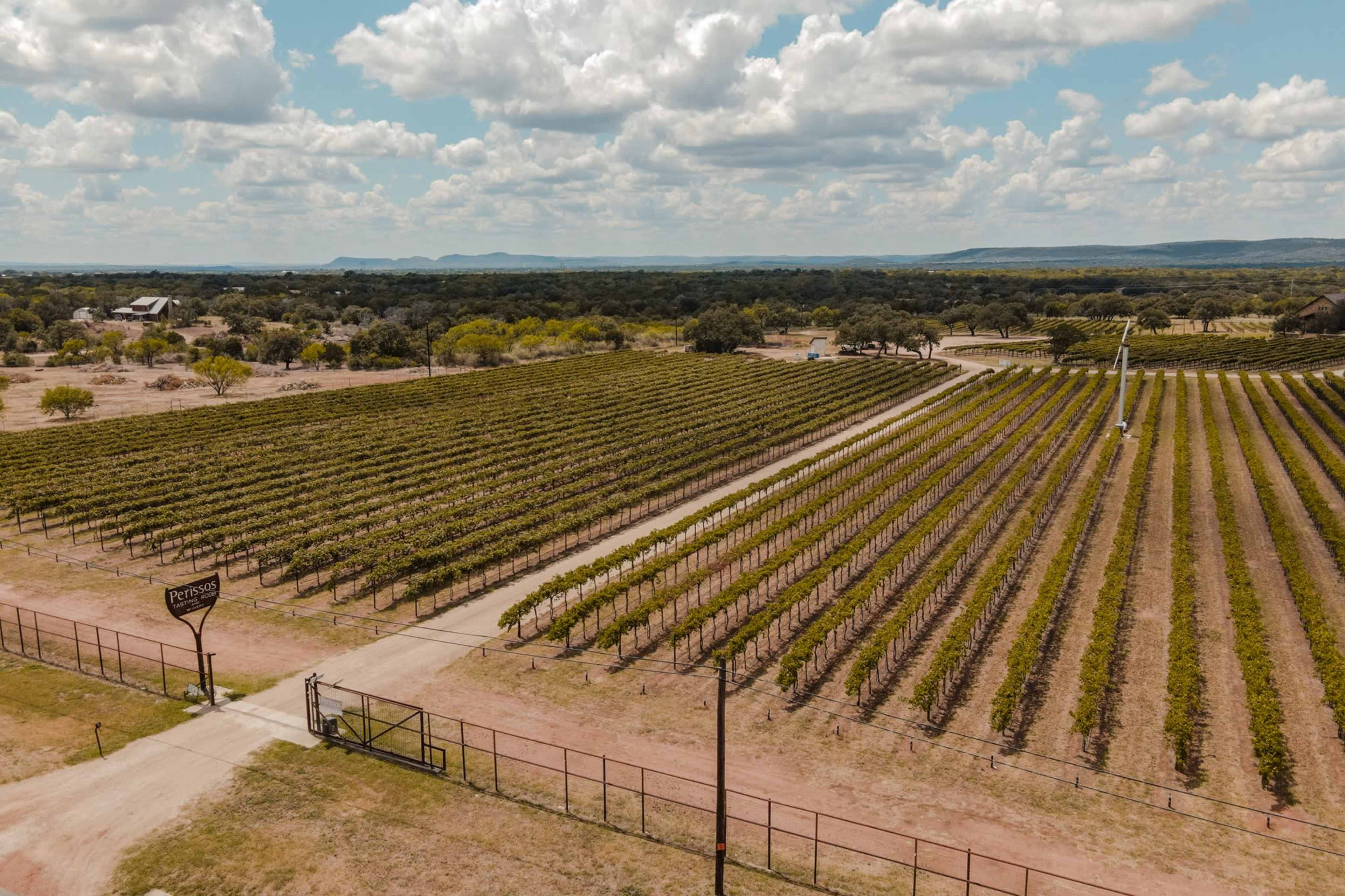 An aerial view of a vineyard with neatly arranged rows of grapevines and a dirt road leading to an entrance sign amidst a rural landscape.