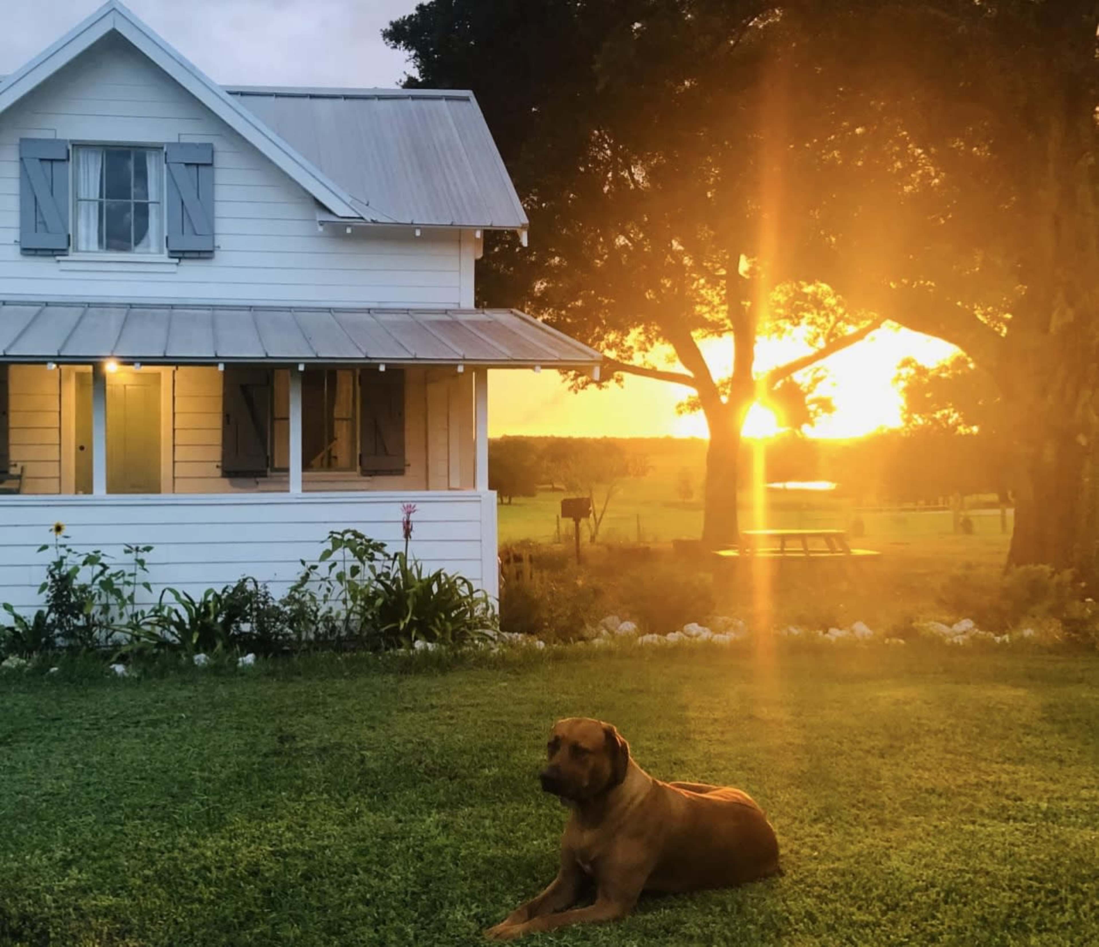 1800’s Rustic Farmhouse on 20 acres- Dade City Image in , Dade City, FL