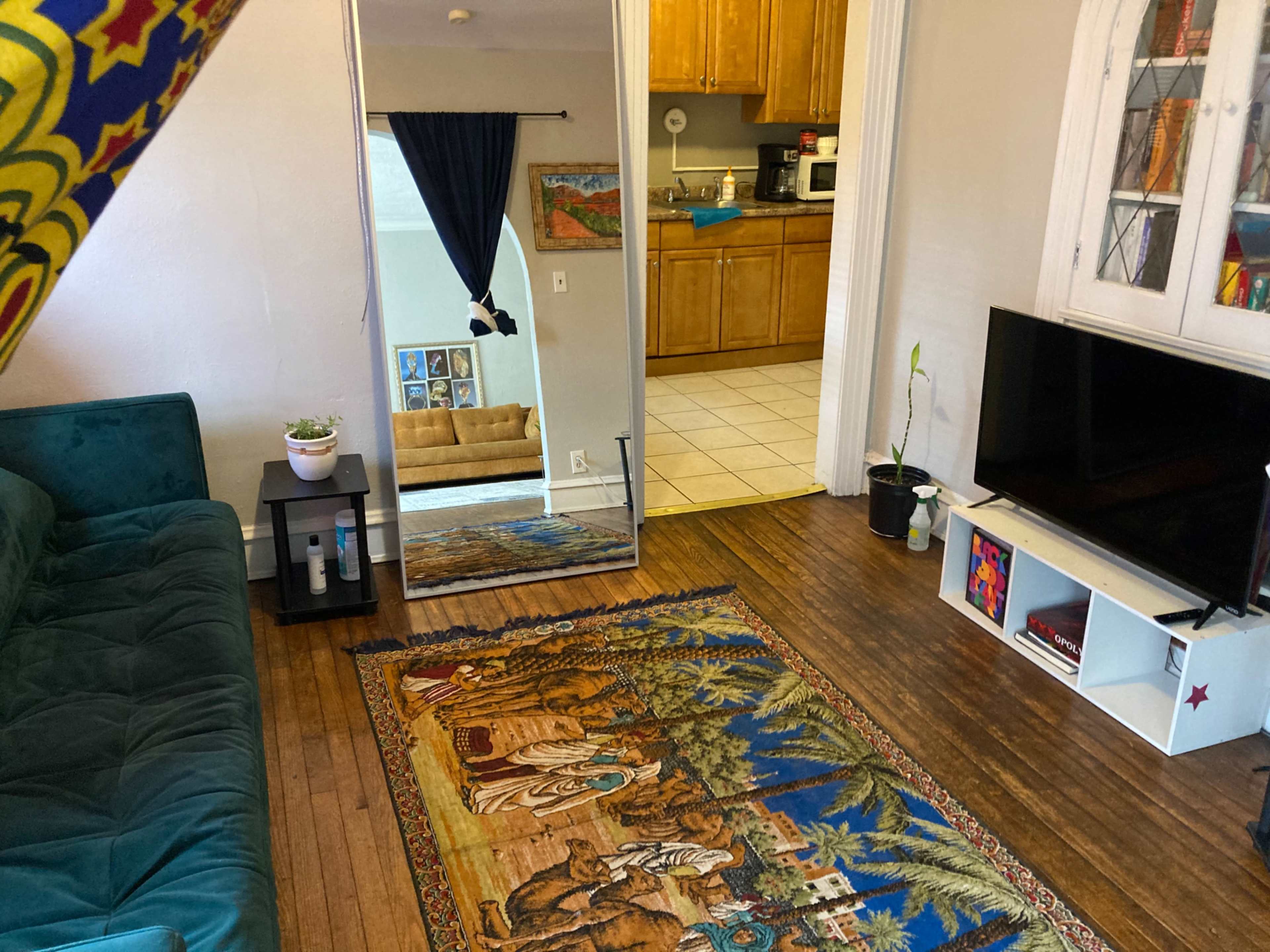 The room features a teal couch, a large mirror, a colorful area rug, and a television on a white stand, with a visible kitchen area in the background.