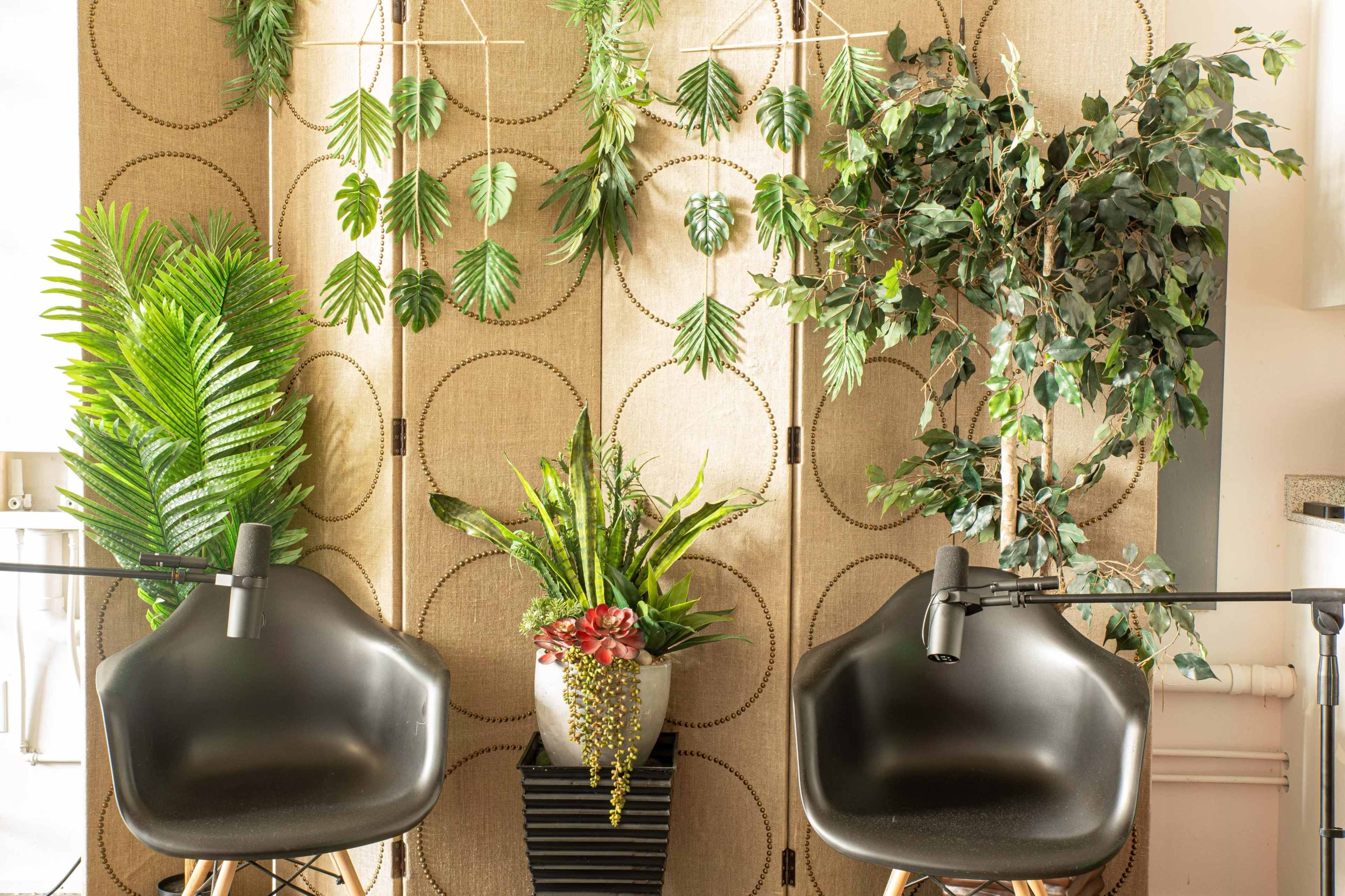 Two black chairs positioned in front of a textured backdrop adorned with various green plants and decorative foliage.