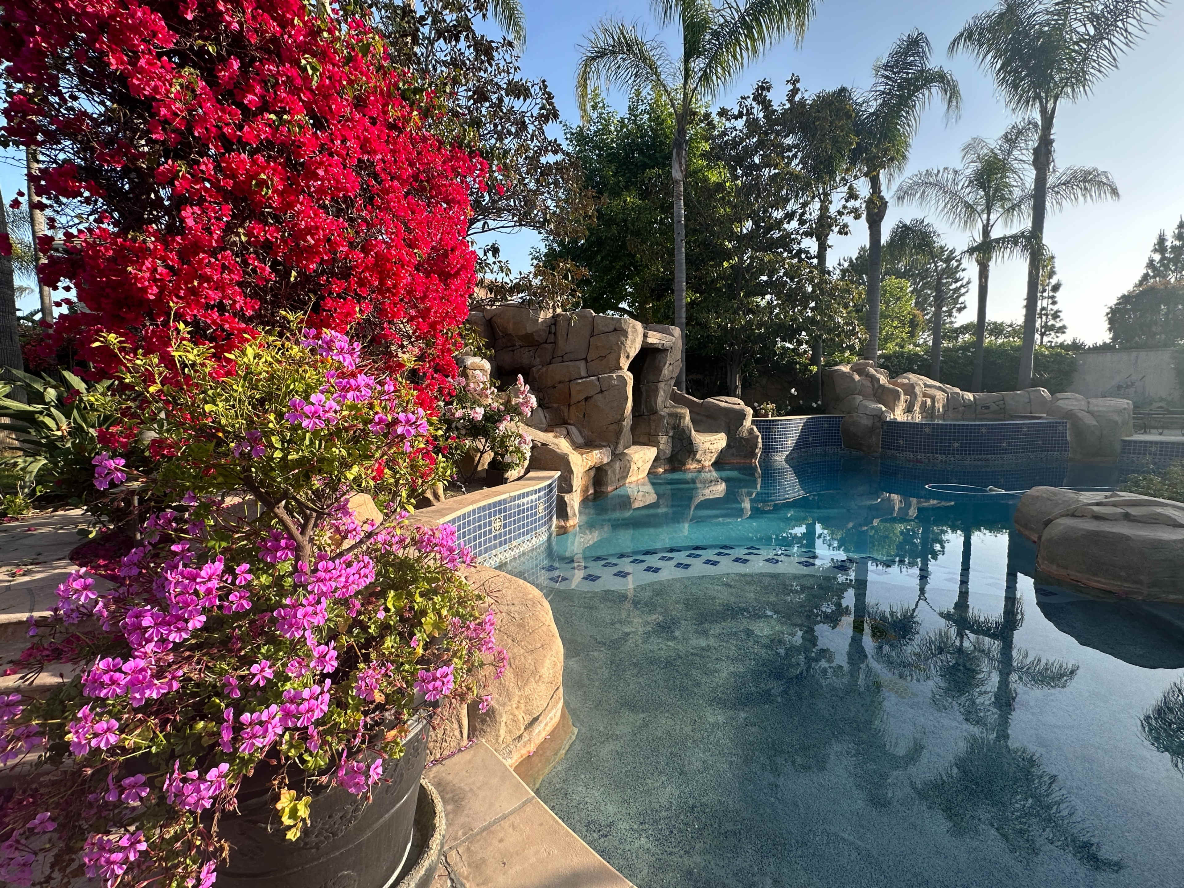 A swimming pool surrounded by lush greenery, colorful flowers, and rock formations under a clear sky.