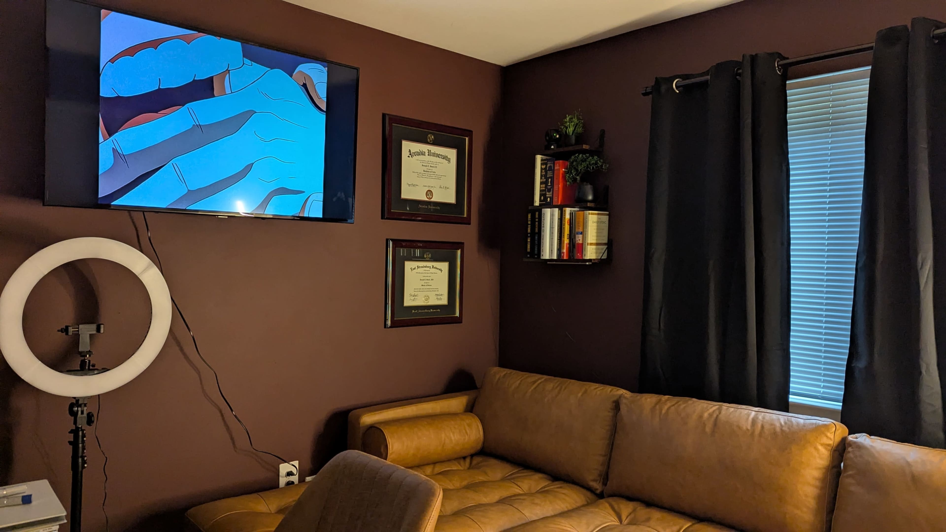 A TV displaying animated content hangs on the wall above a brown leather couch in a room with dark purple walls and shelves holding books.