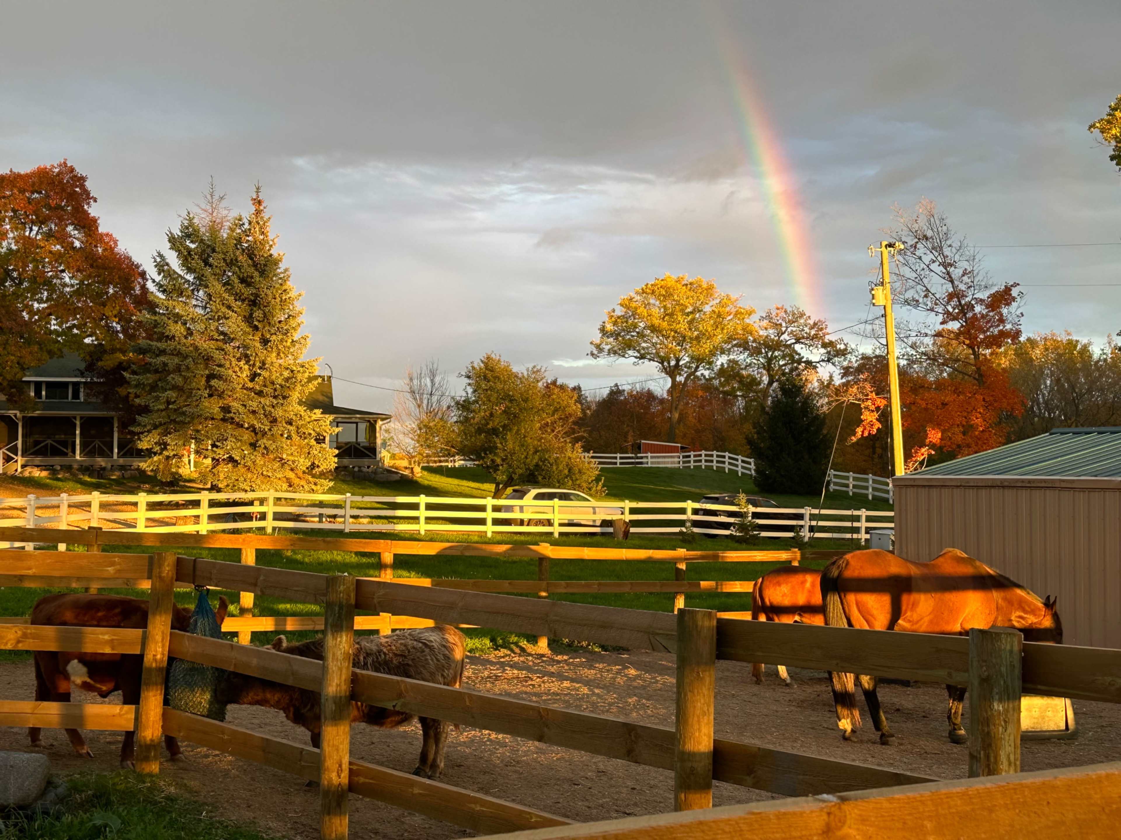 Gorgeous farm property with rolling hills, white fences, plenty of trees, one acre pond, indoor offices/studios/changing rooms, and bathrooms. Image in Minnetrista, Minnetrista, MN