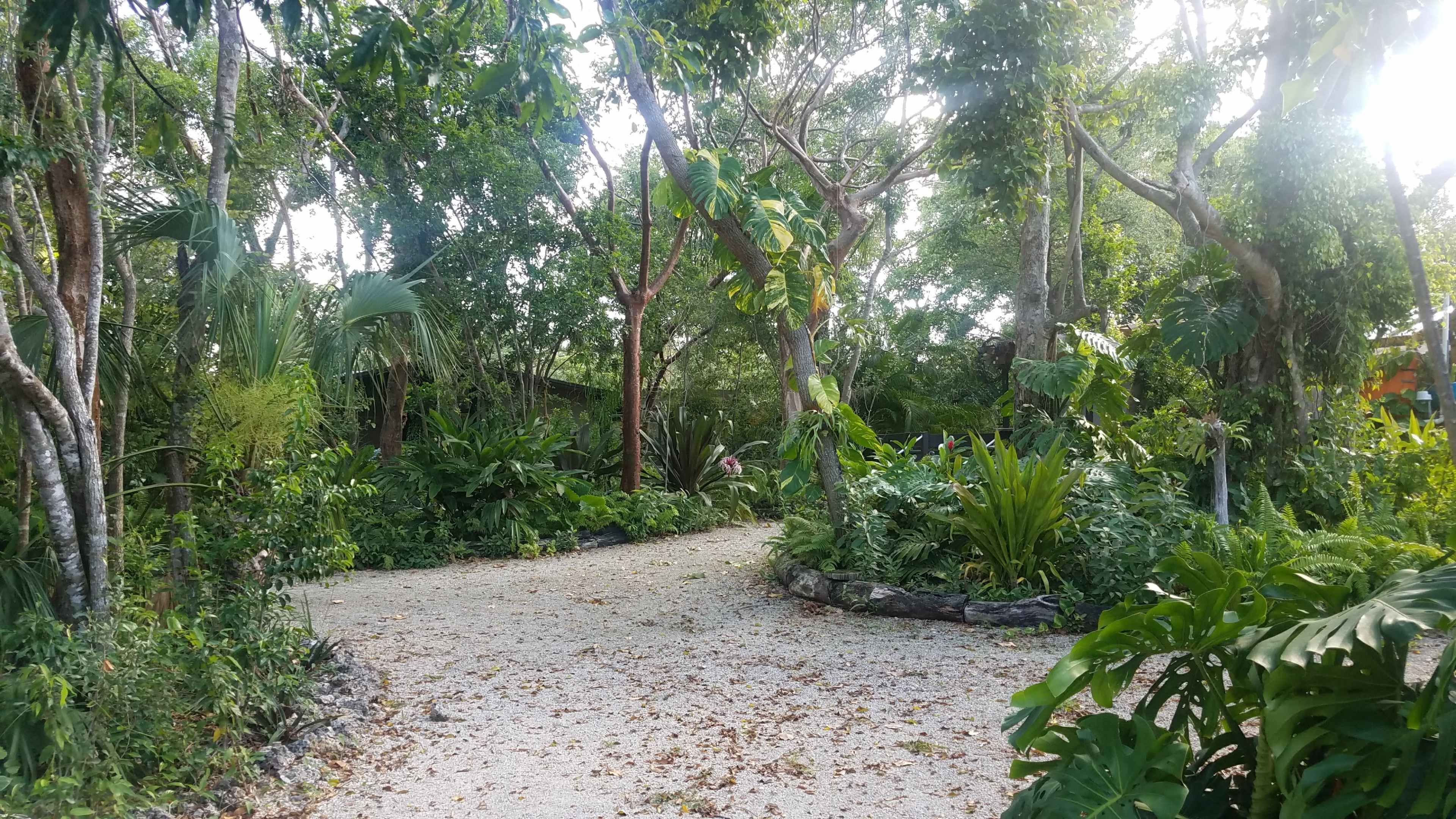 A gravel pathway winds through a lush, green garden surrounded by various plants and trees.