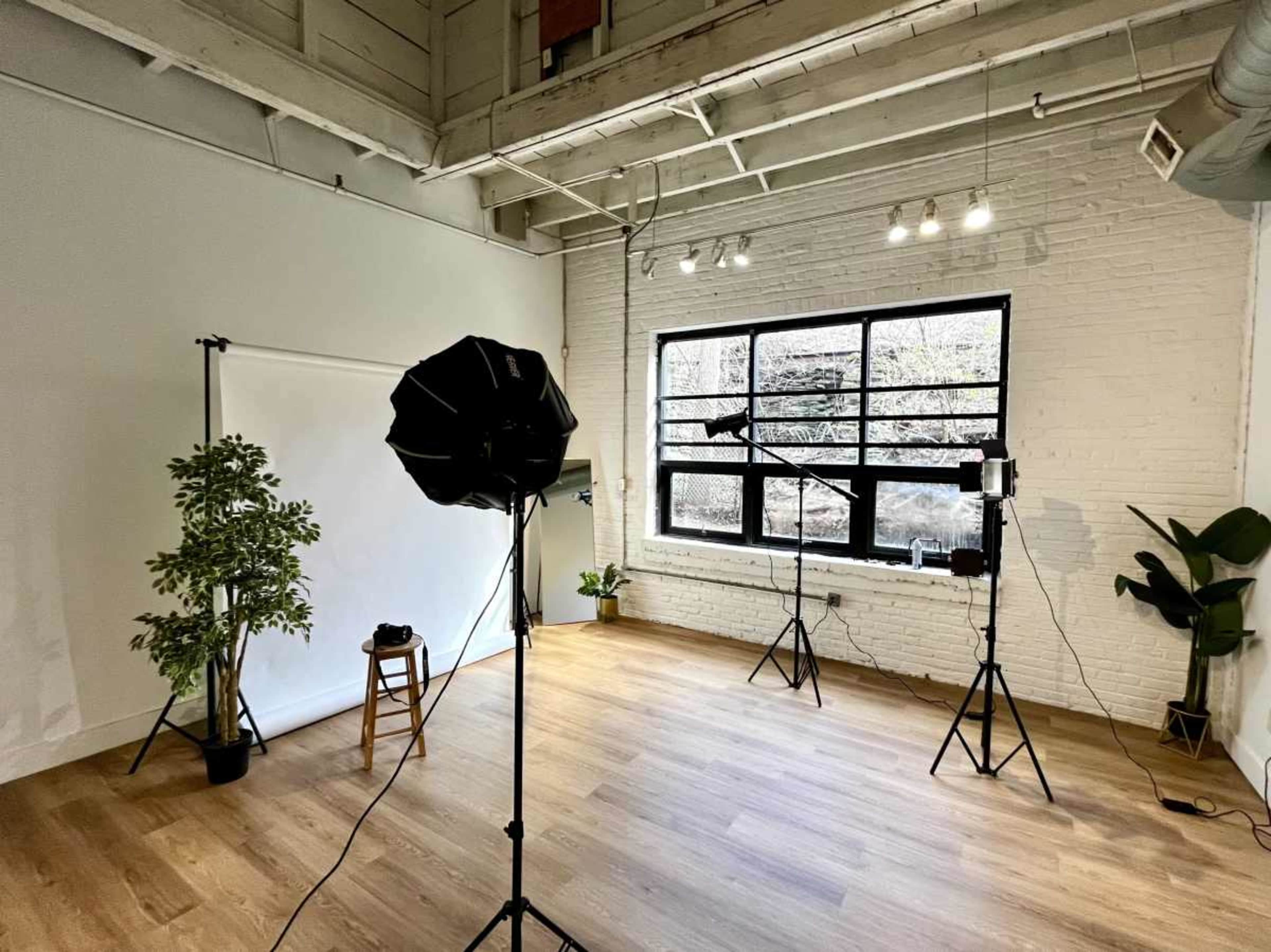 A photography studio with equipment set up, including lighting stands, a stool, and potted plants, against a backdrop of large windows.