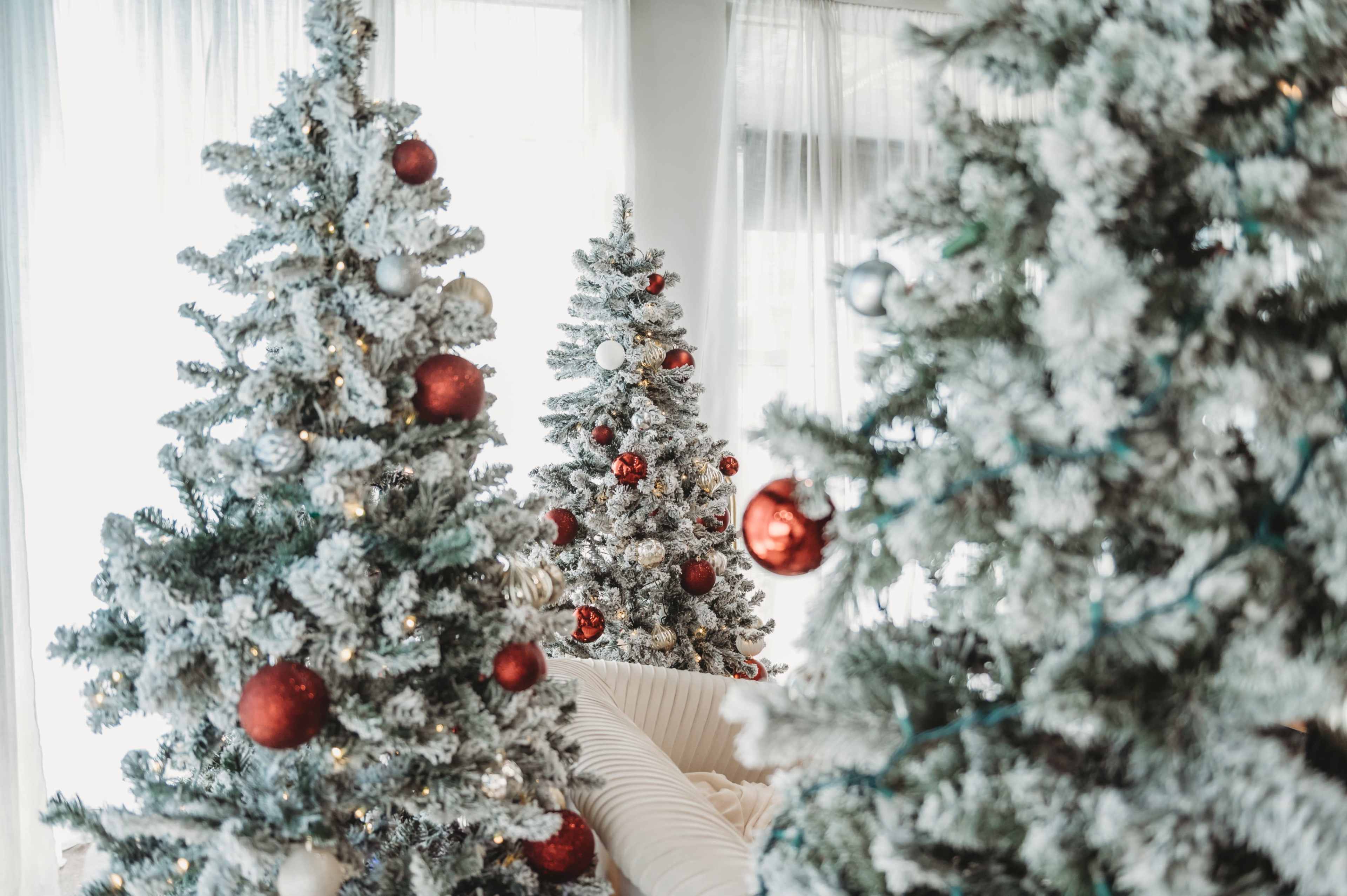 The image shows several decorated, snowy Christmas trees with red and silver ornaments in a brightly lit room.
