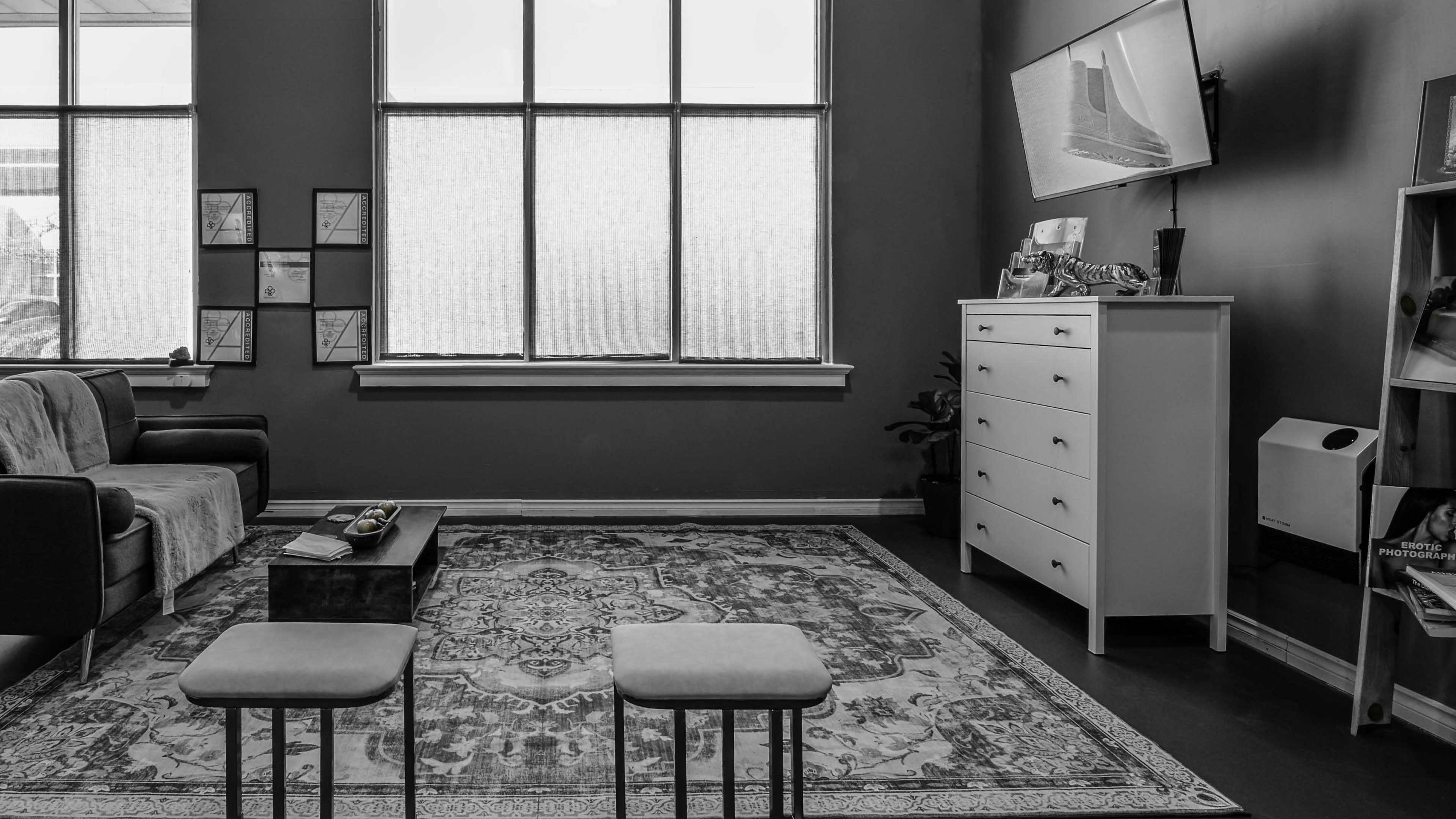 The image shows a modern interior featuring a sofa, a decorative area rug, a television mounted on the wall, and a white dresser, with large windows covered by light-filtering shades.