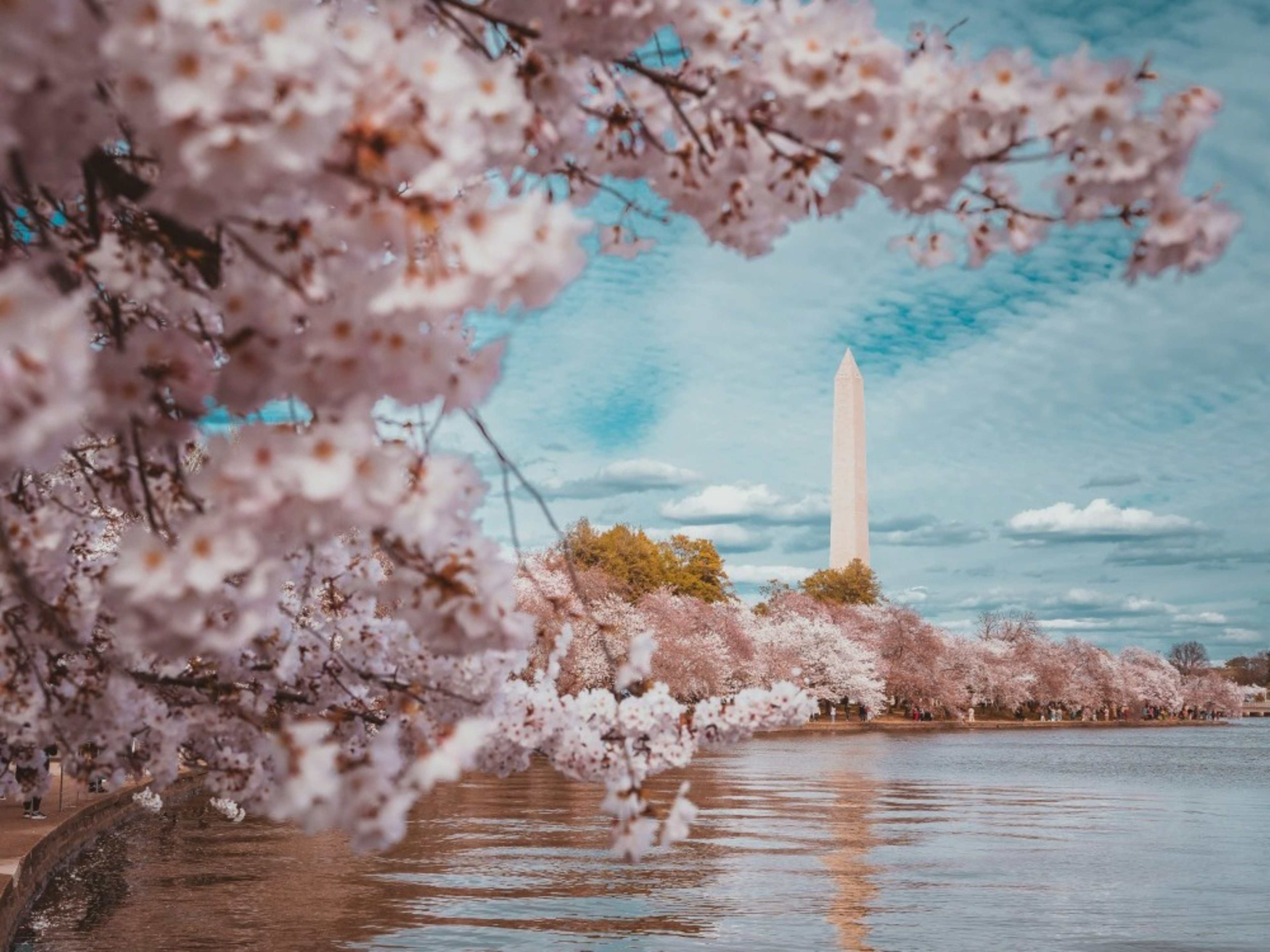 The Monumental Lounge Package