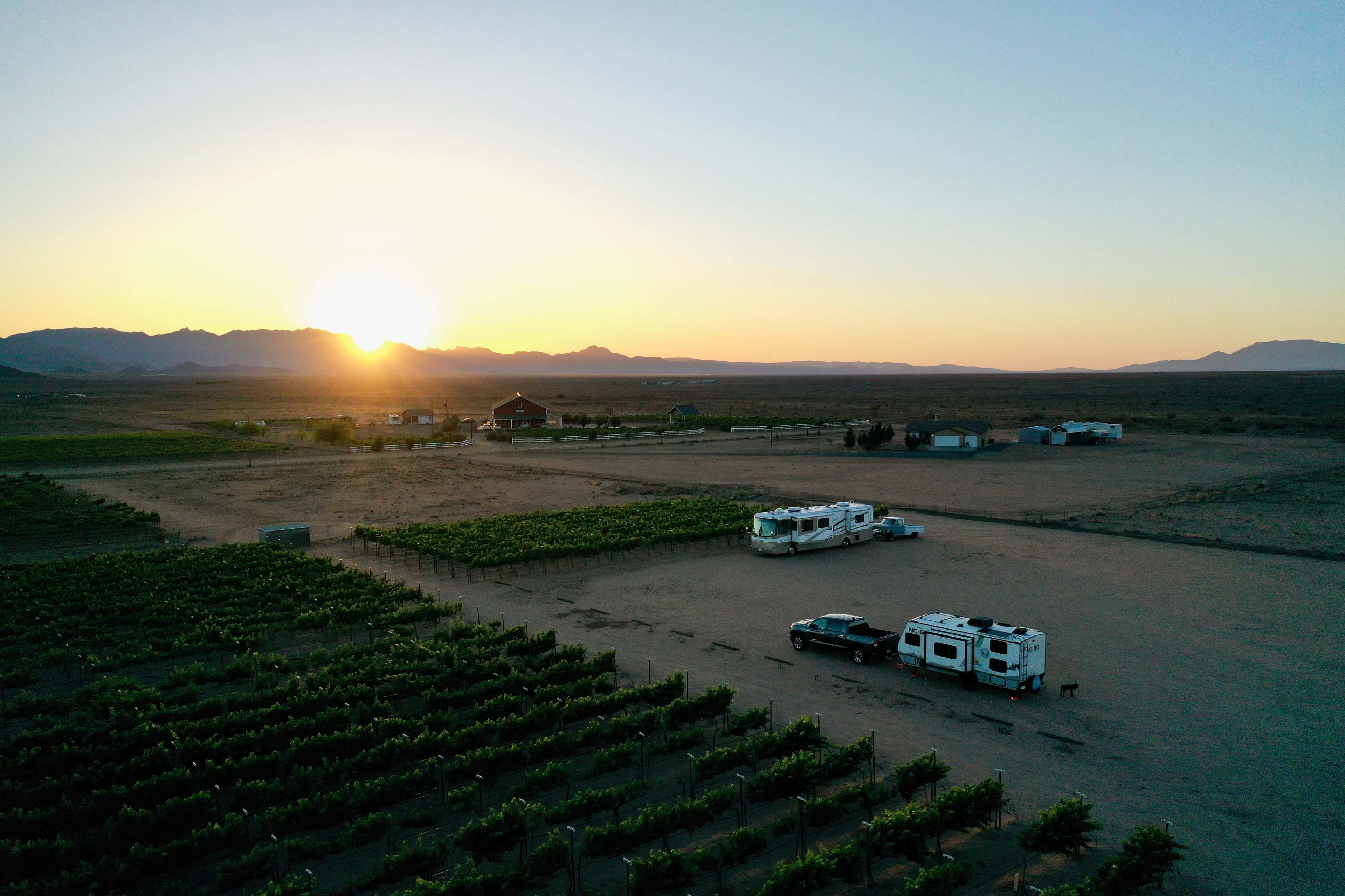 The image shows a vineyard at sunset with parked RVs and a few buildings in the background.
