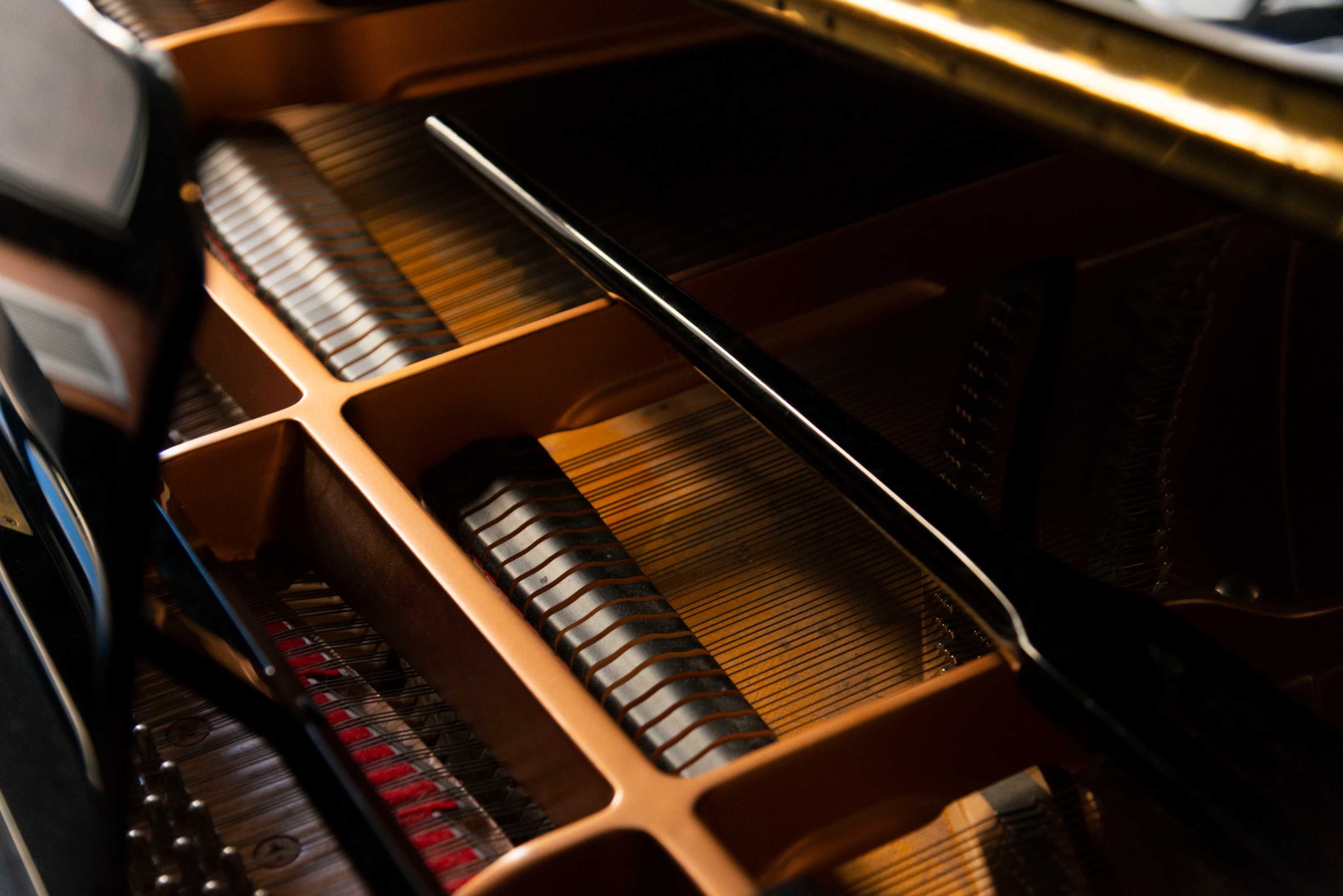 The image shows the interior of a piano, highlighting the strings and wooden framework.