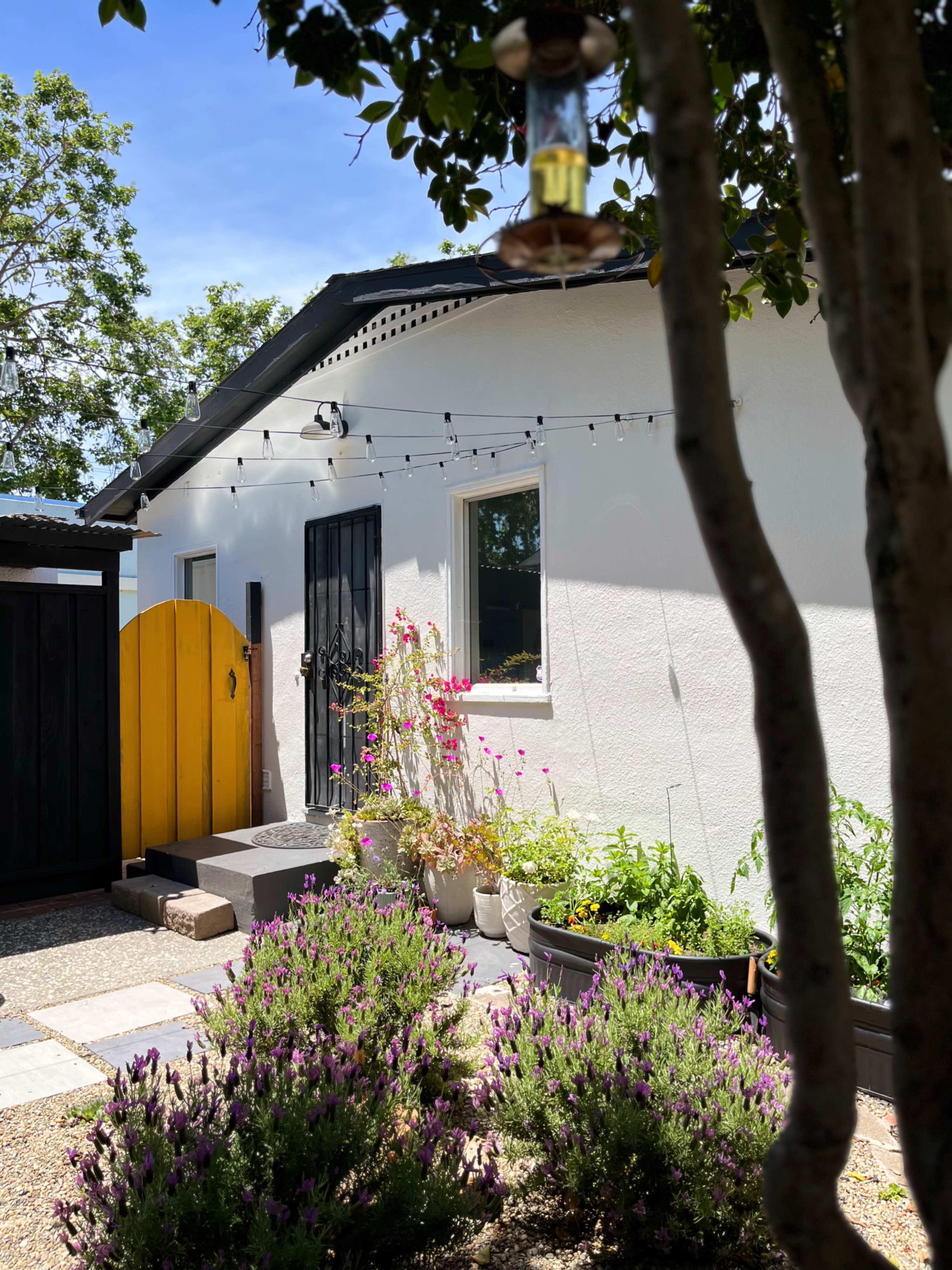 A white house features a black door and a yellow gate, surrounded by potted plants and lavender in the garden.