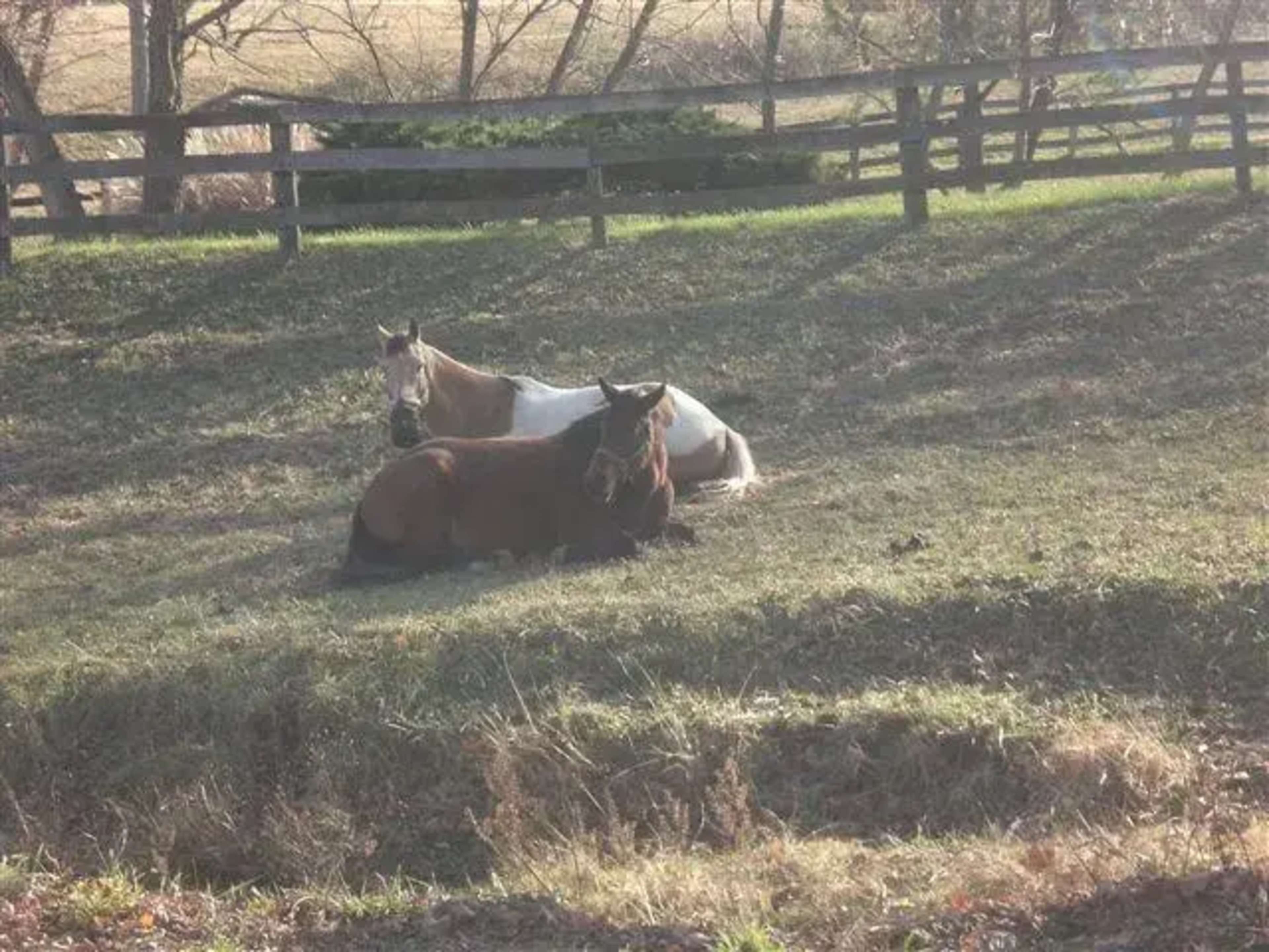 Rustic Elegance Meets Countryside Charm – A Scenic Venue for Unforgettable Celebrations Image in , Purcellville, VA