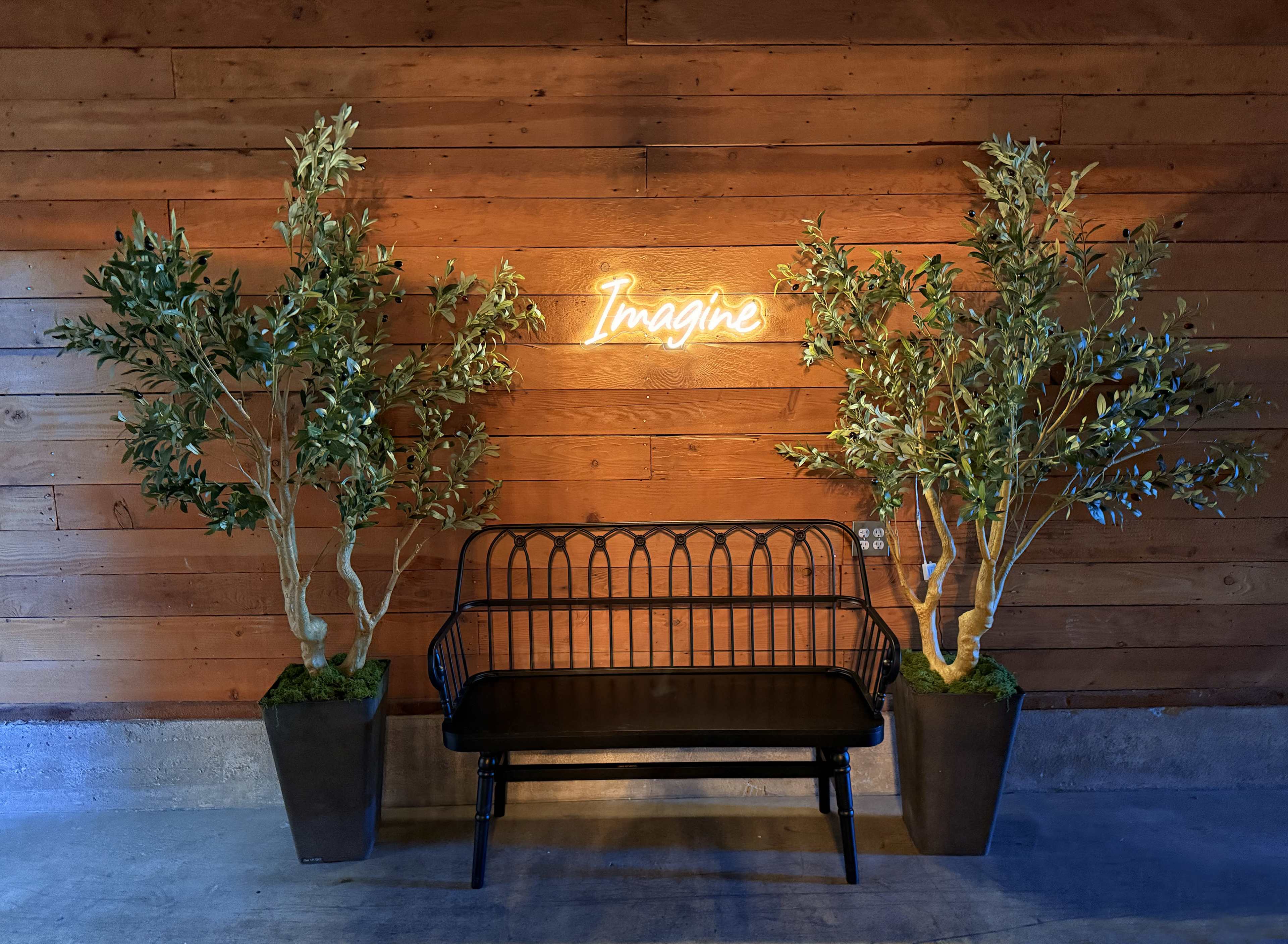 A black bench sits in front of a wooden wall, flanked by two potted olive trees, with a neon sign that reads "Imagine" above it.