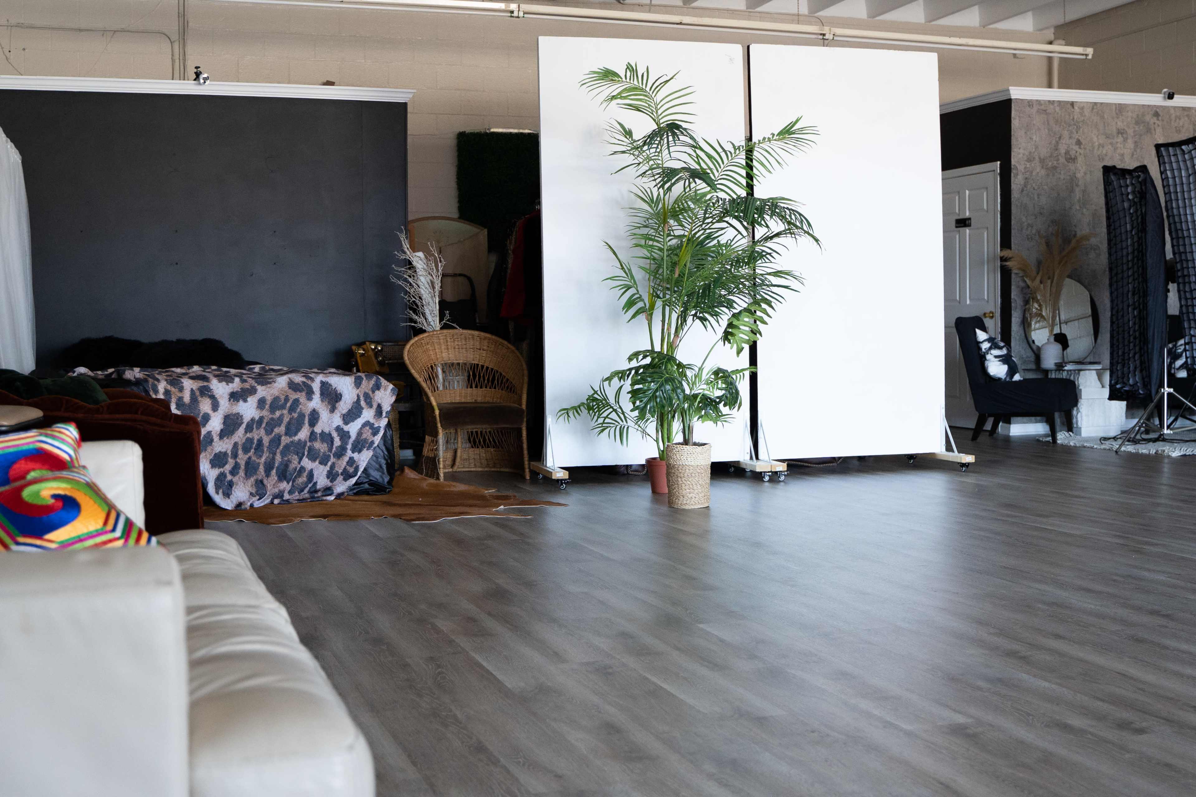 A spacious studio with a wooden floor, featuring a large potted plant, a bed with animal print bedding, and several photography backdrops.