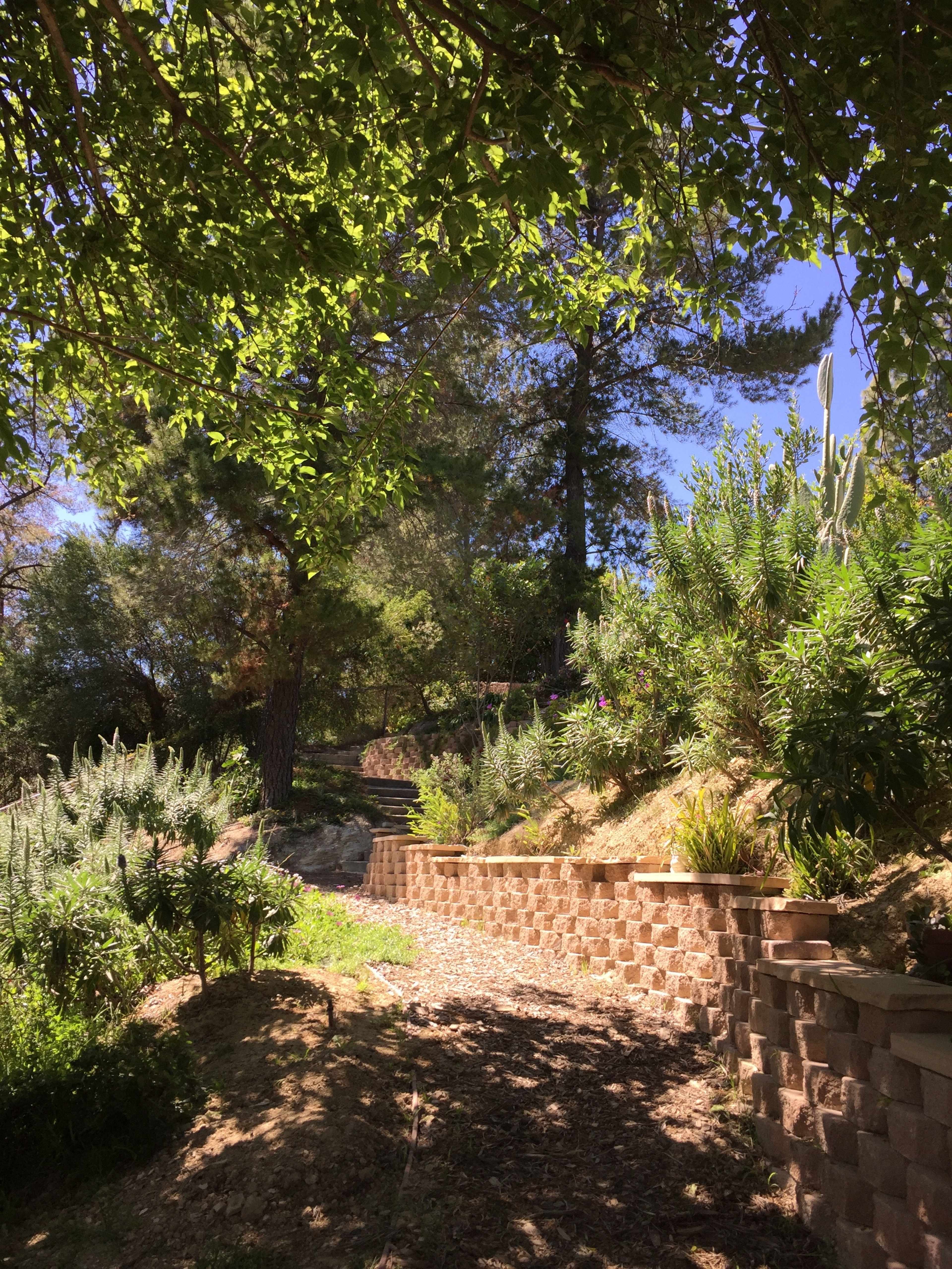 A stone pathway winds through a lush garden surrounded by trees and various plants.