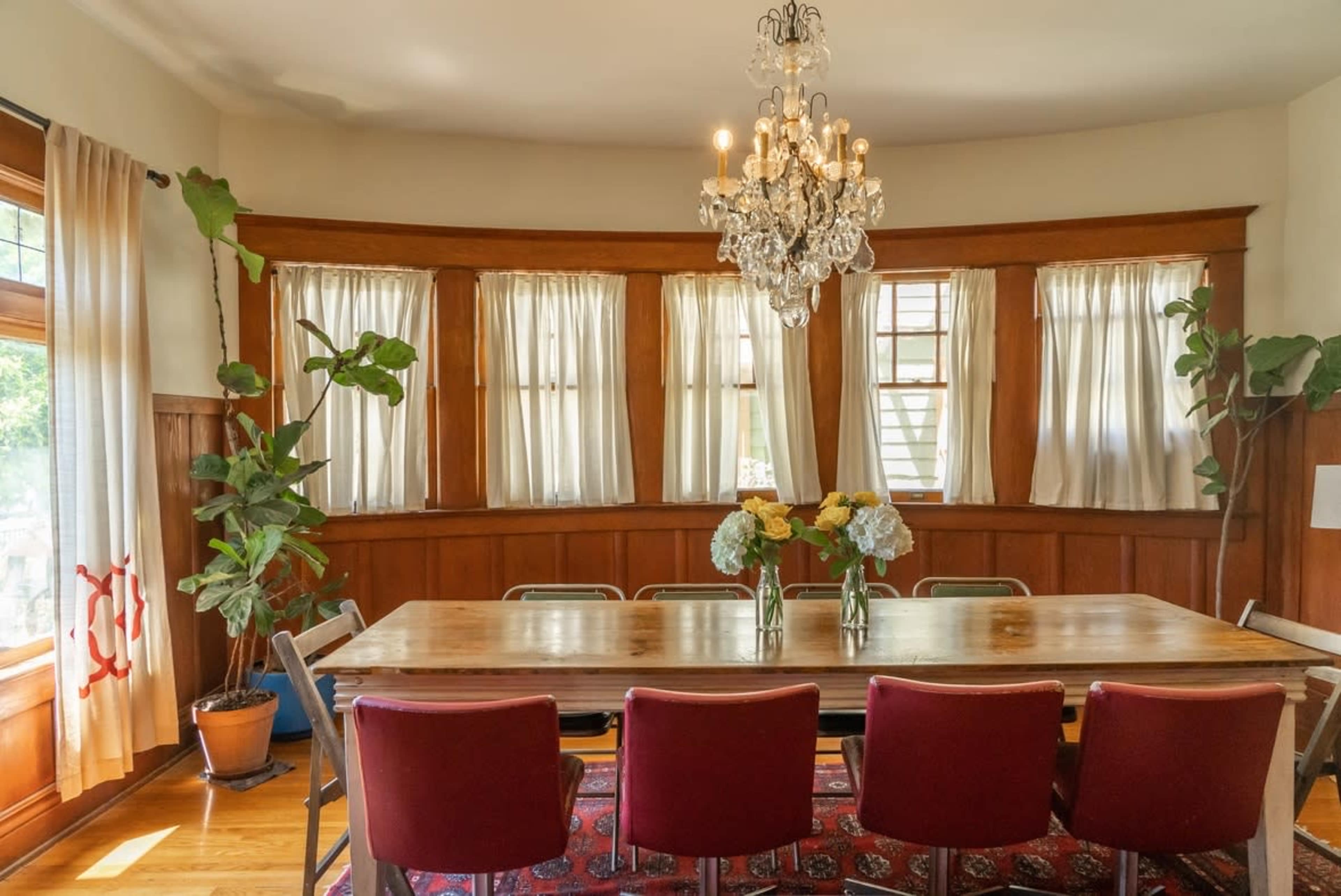 A long wooden dining table is set with chairs in a room featuring large windows with white curtains and a chandelier overhead.