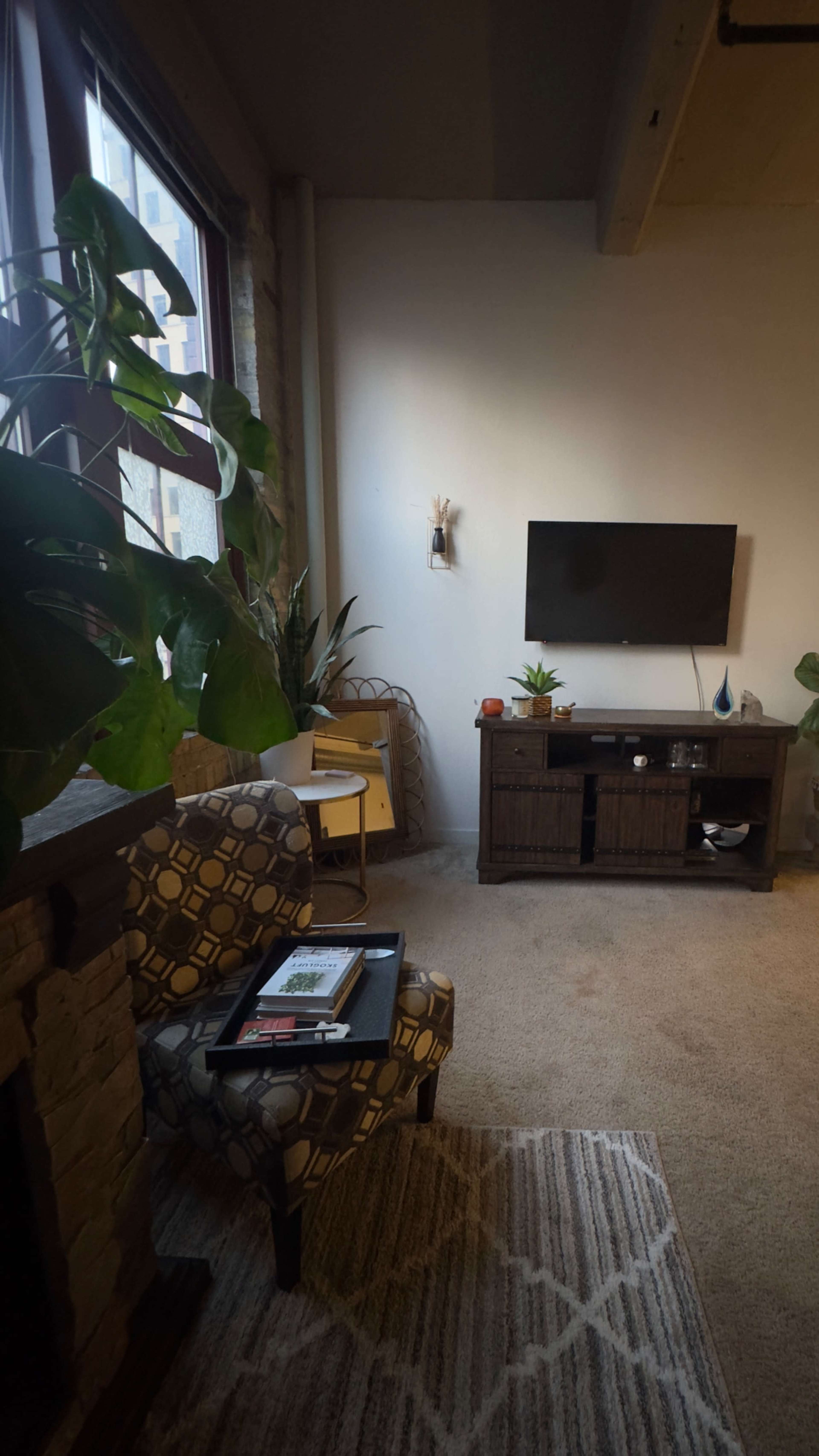 A cozy living room features a patterned chair, a wooden TV stand, and various indoor plants, with a large window allowing natural light to enter.