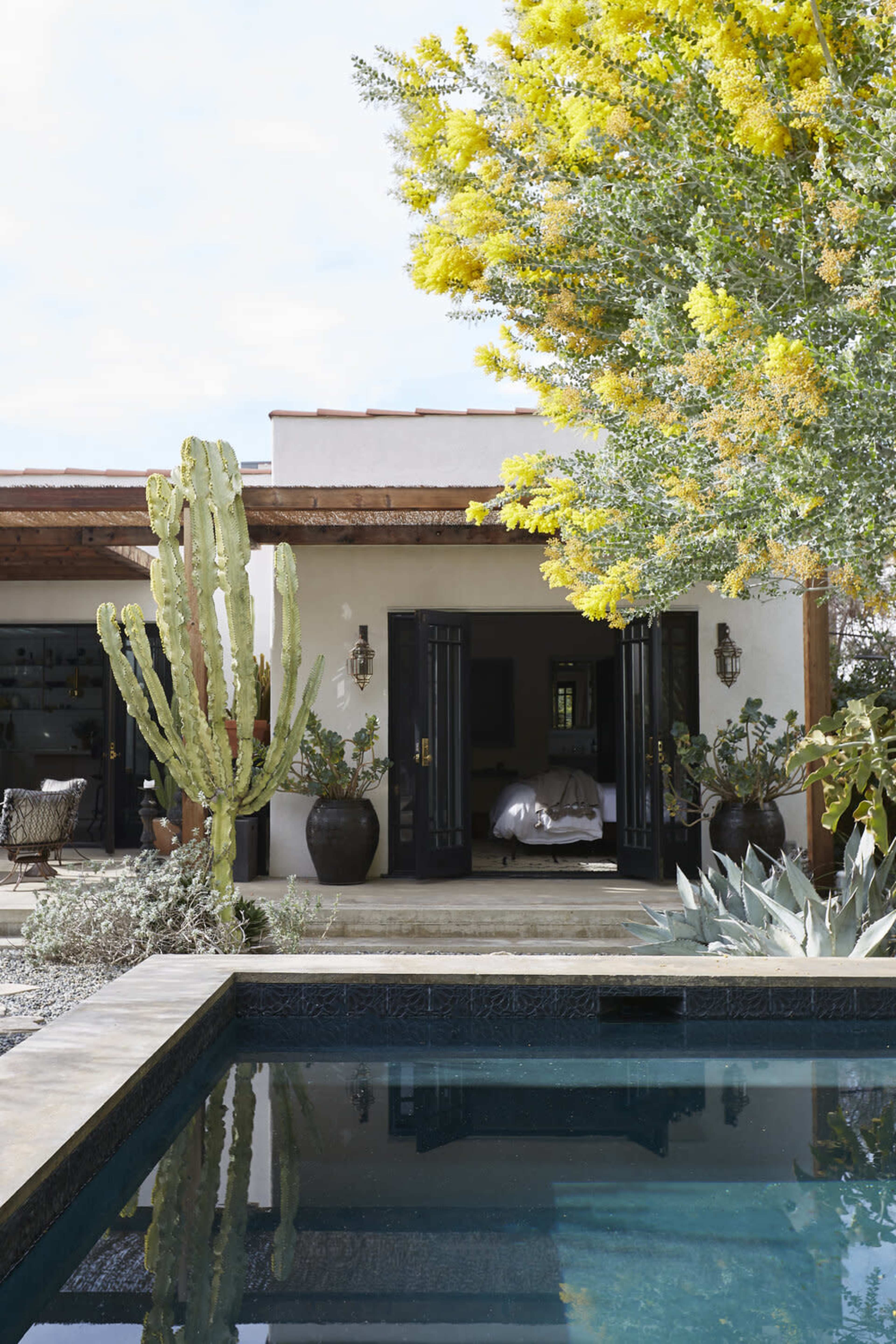 A modern house with an open entrance is surrounded by desert plants and a swimming pool reflects the bright yellow blooms of a nearby tree.
