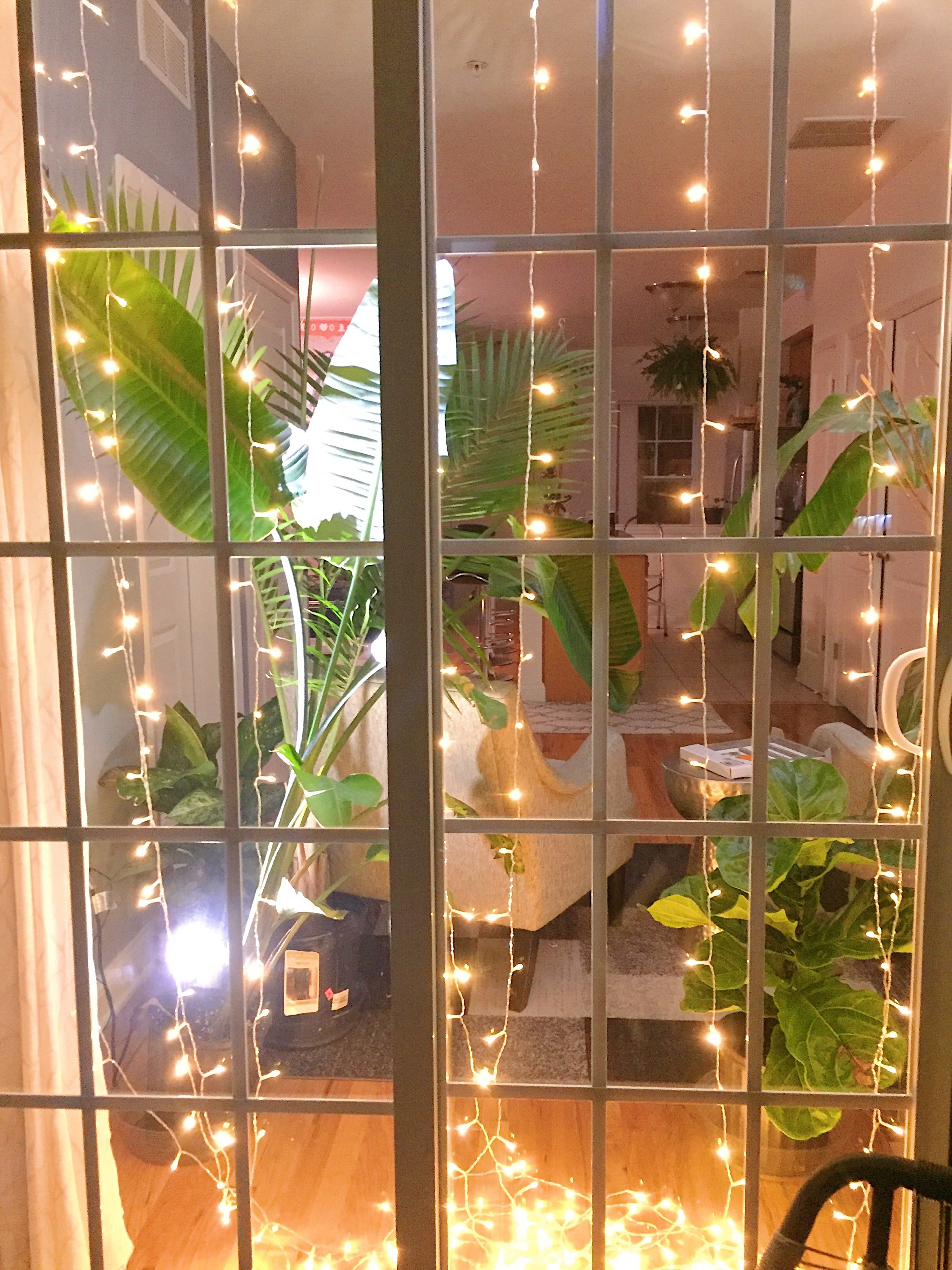 A view through a window with green plants and string lights creating a cozy atmosphere in a well-lit room.