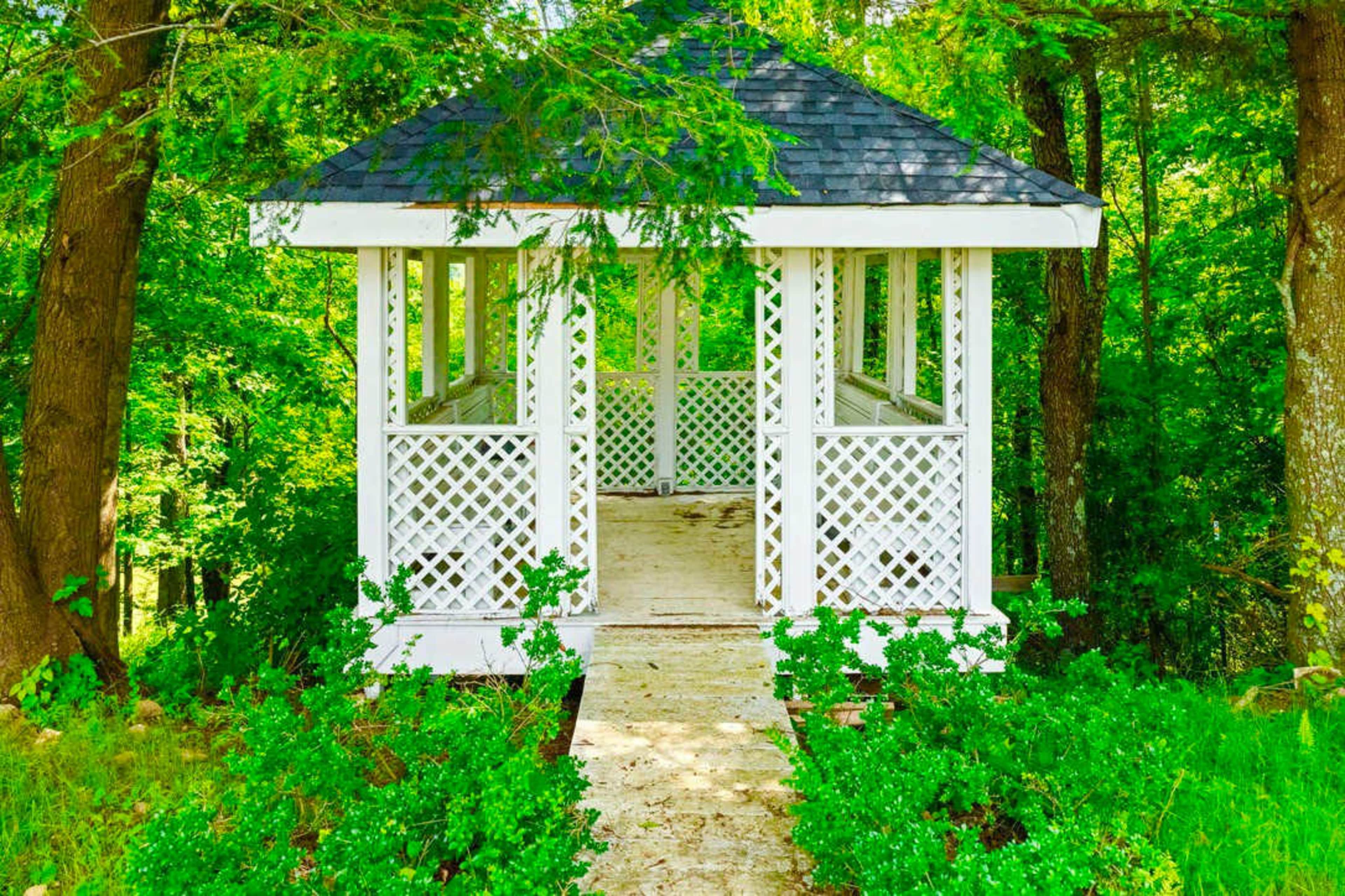 Gated Mansion - Basketball Court, Movie Theater, Acreage Image in , Big Stone Gap, VA