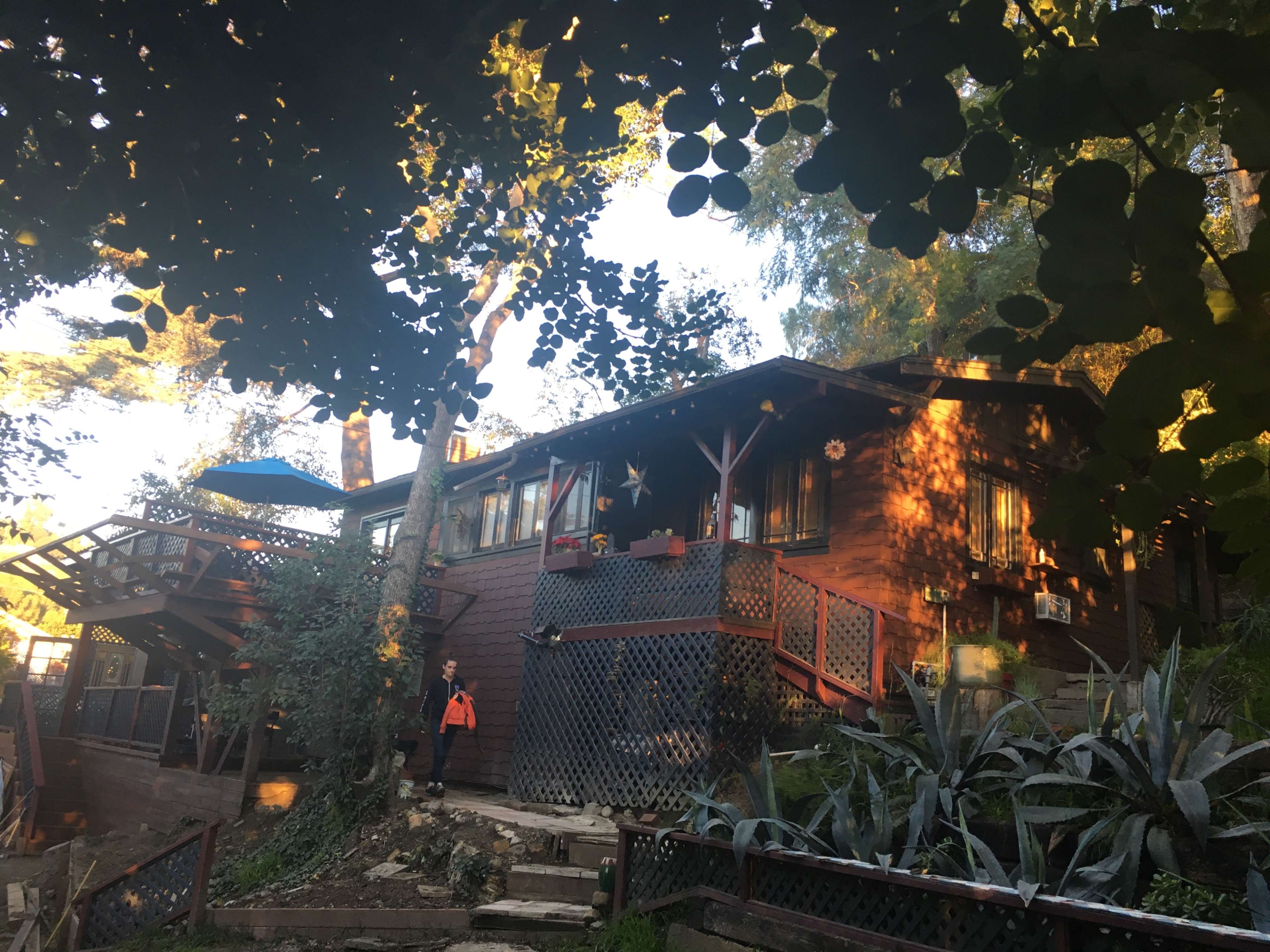 A wooden house surrounded by trees and plants, with a person standing on a path leading to the entrance.