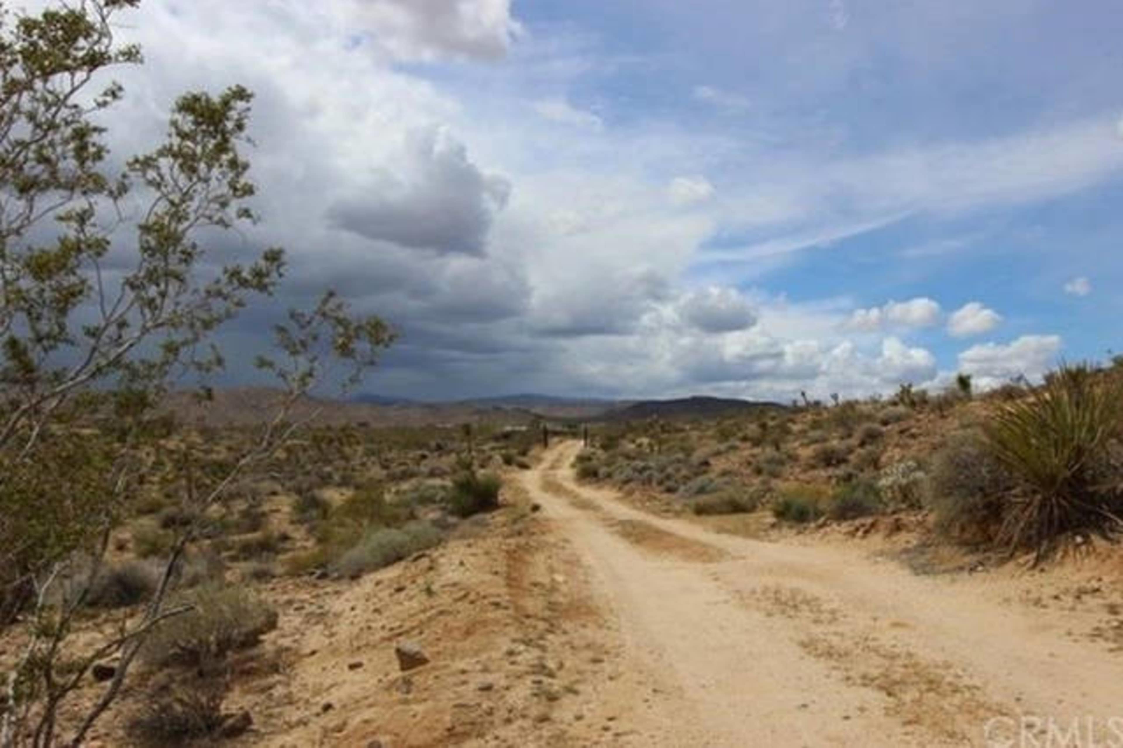A dirt road winds through a desert landscape under a cloudy sky.