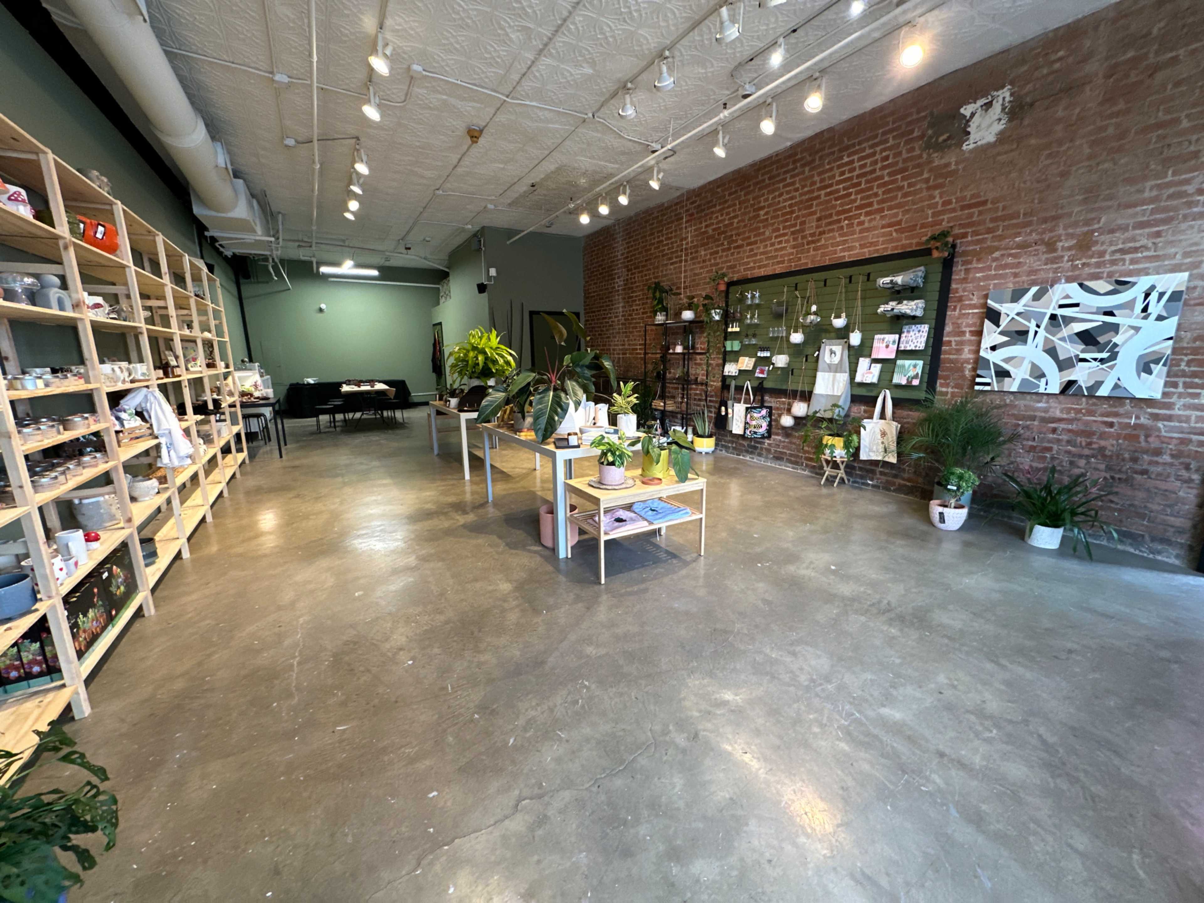 A spacious retail space with wooden shelving on the left, various plants on display, and a bulletin board on the right, featuring information and artwork.