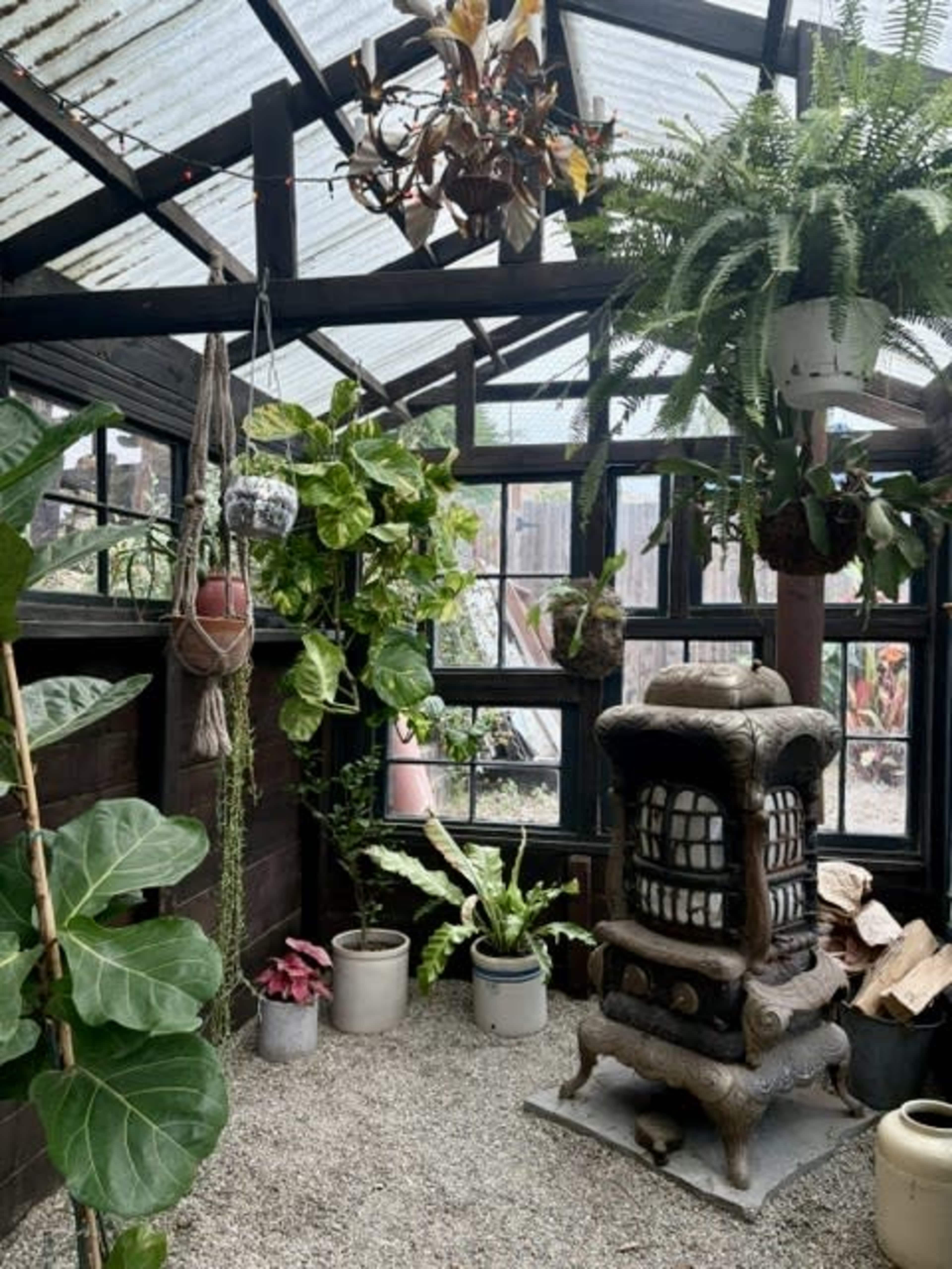 The image shows a greenhouse with various indoor plants, including ferns and potted greenery, arranged around a decorative stone heater.