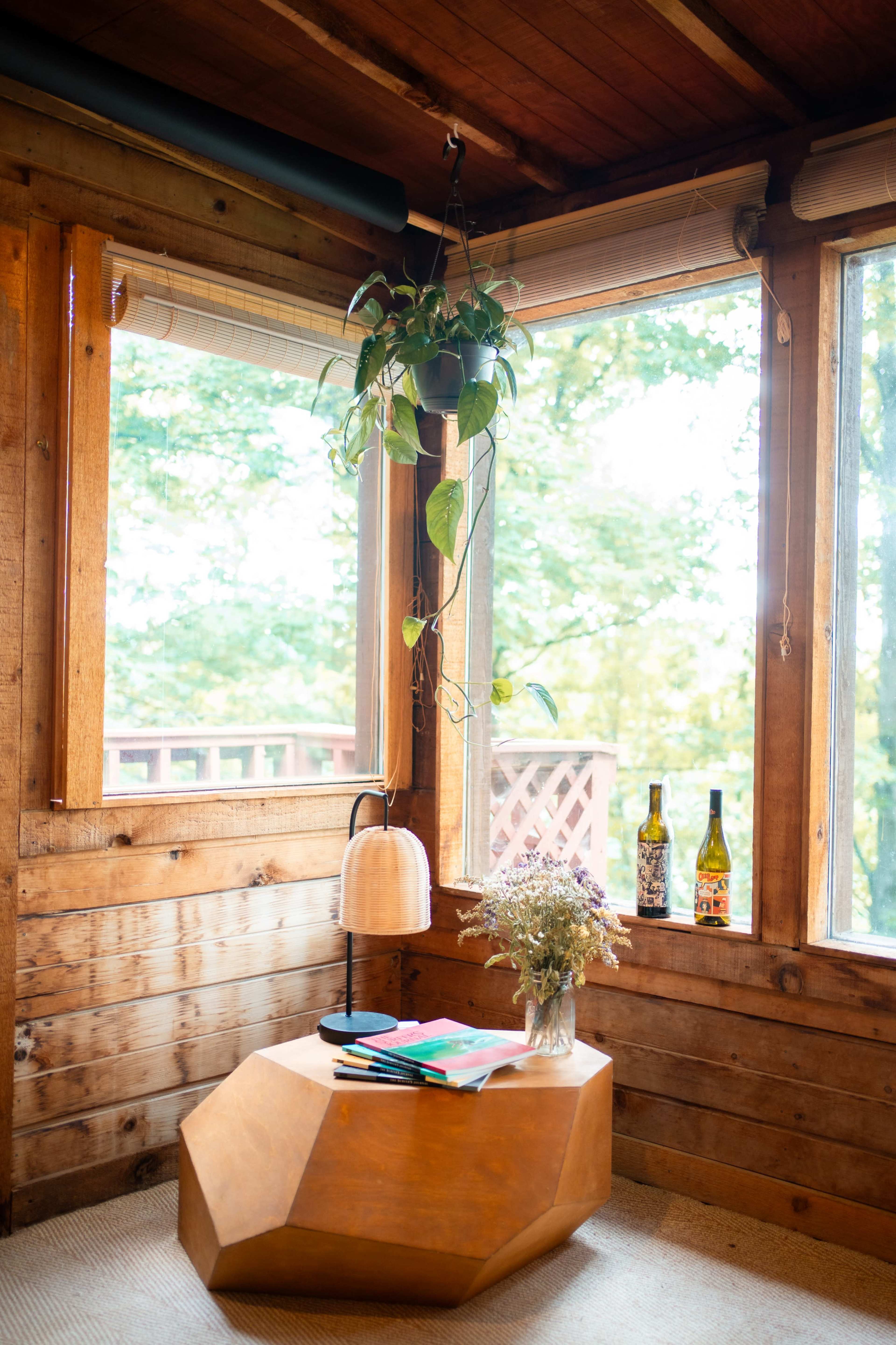 The interior of a wooden cabin features a geometric wooden coffee table, a hanging plant, a lamp, and two bottles on a window sill, with large windows providing a view of trees outside.