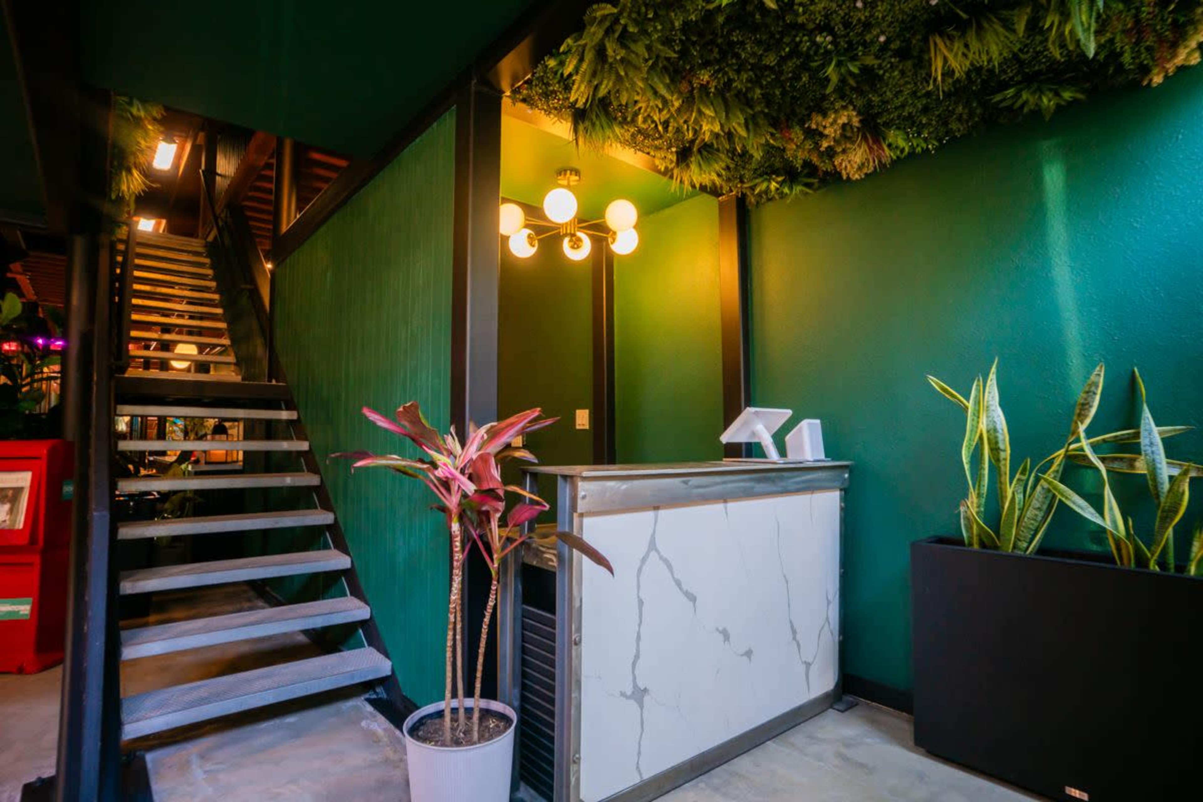 The image shows a modern interior space featuring a reception desk, green walls, indoor plants, and a staircase with wooden steps leading to an upper level.