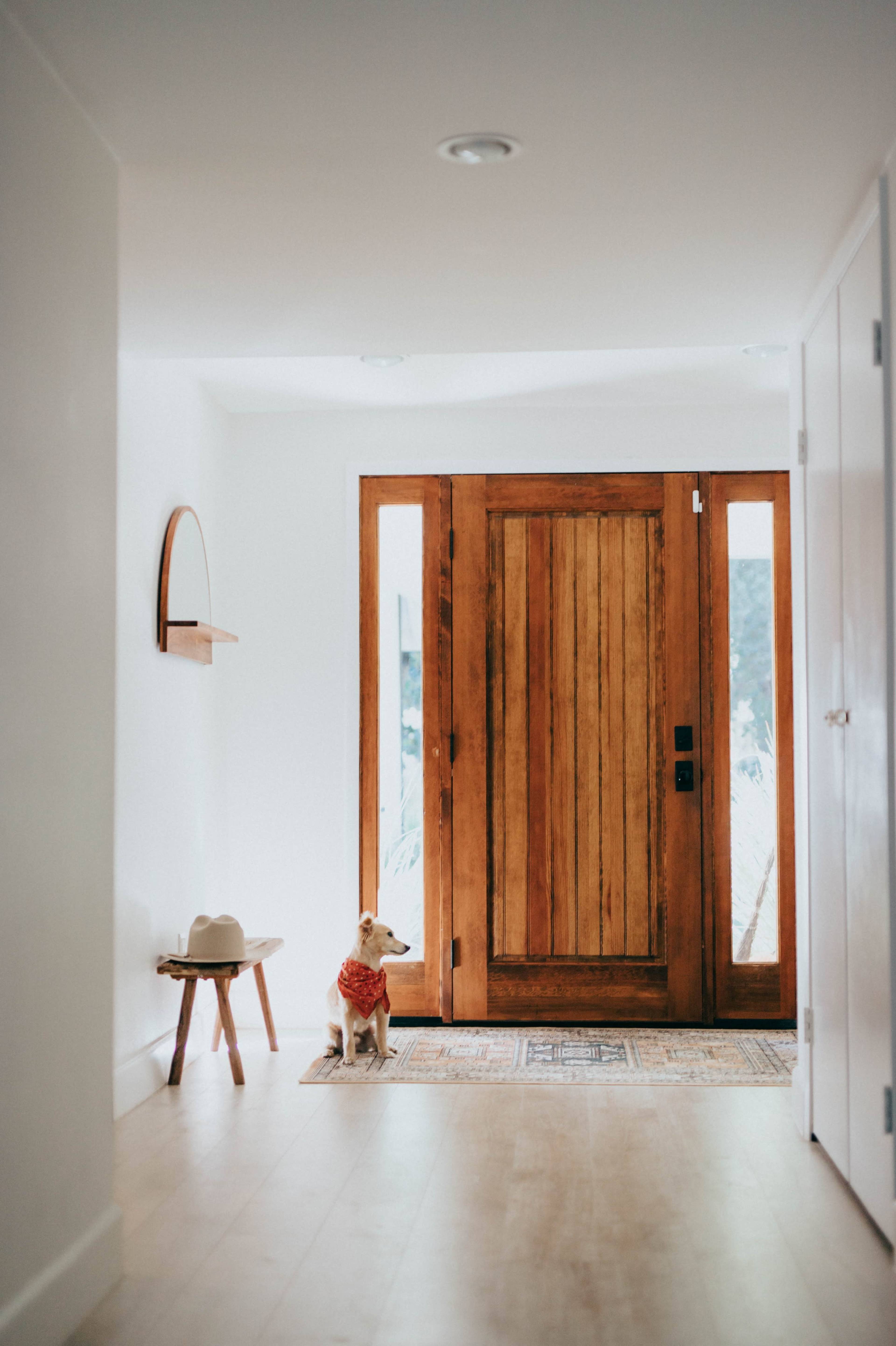 The image shows a bright hallway with a wooden front door, a small dog sitting on a rug, and a minimalist decor featuring a wall shelf and a hat on a nearby stool.
