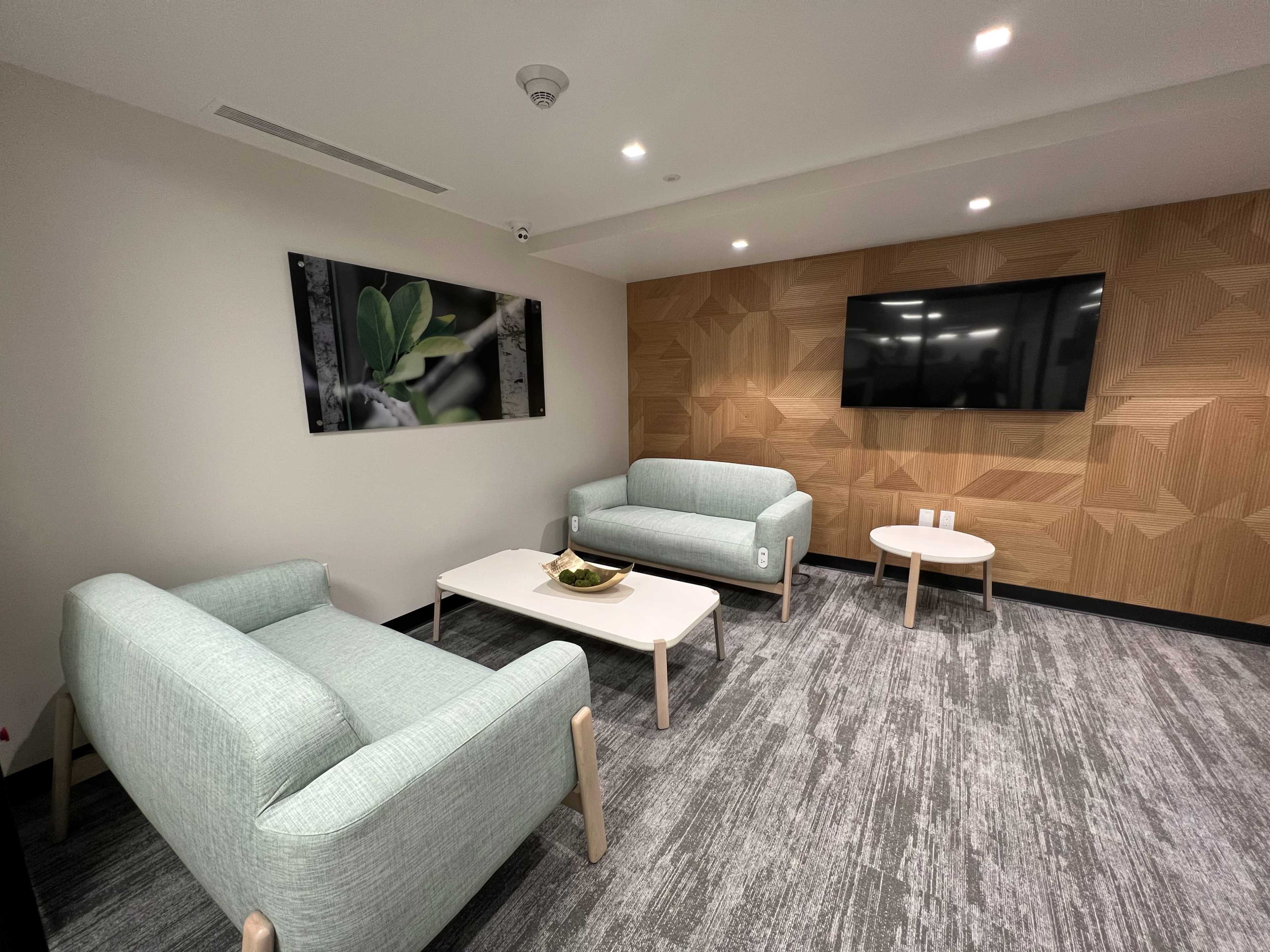 A modern, minimalist waiting area with two light teal sofas, a coffee table, and a wall-mounted TV, alongside a textured wood panel and a framed nature photograph.