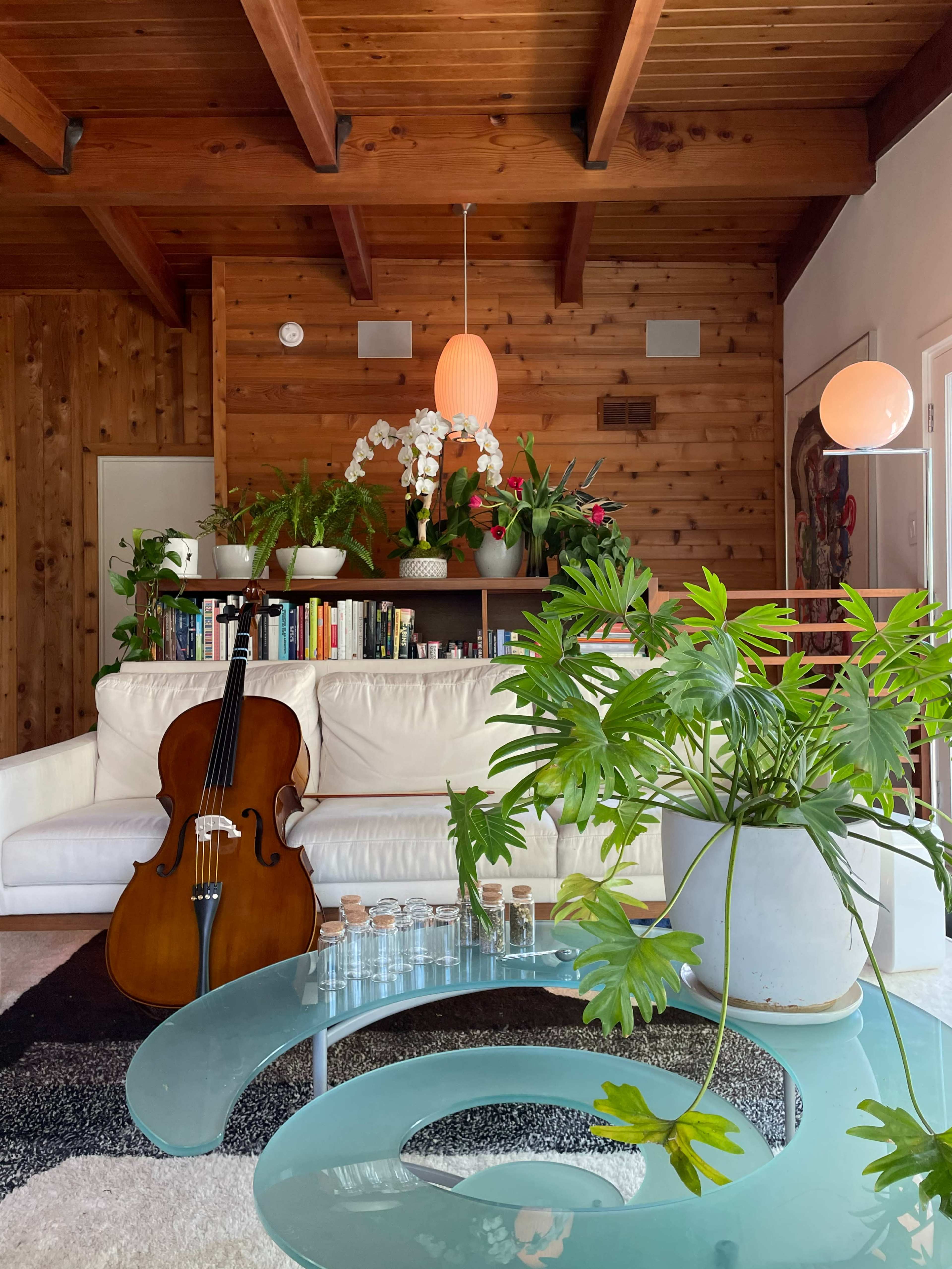 Mid-Century Treehouse Image in Los Feliz, Los Angeles, CA