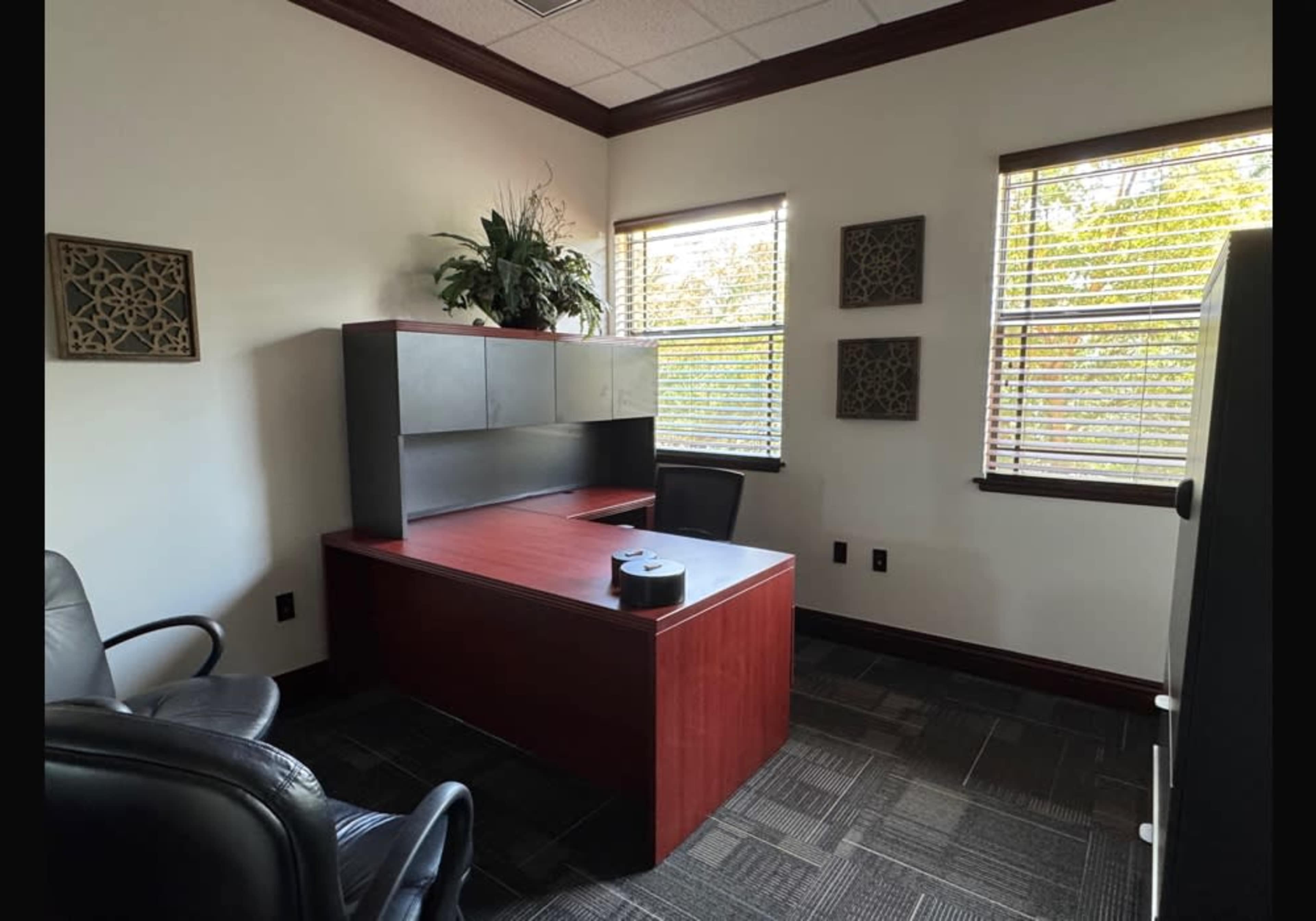 The image shows a small office space featuring a desk, two black chairs, a plant on the desk, and windows with blinds.