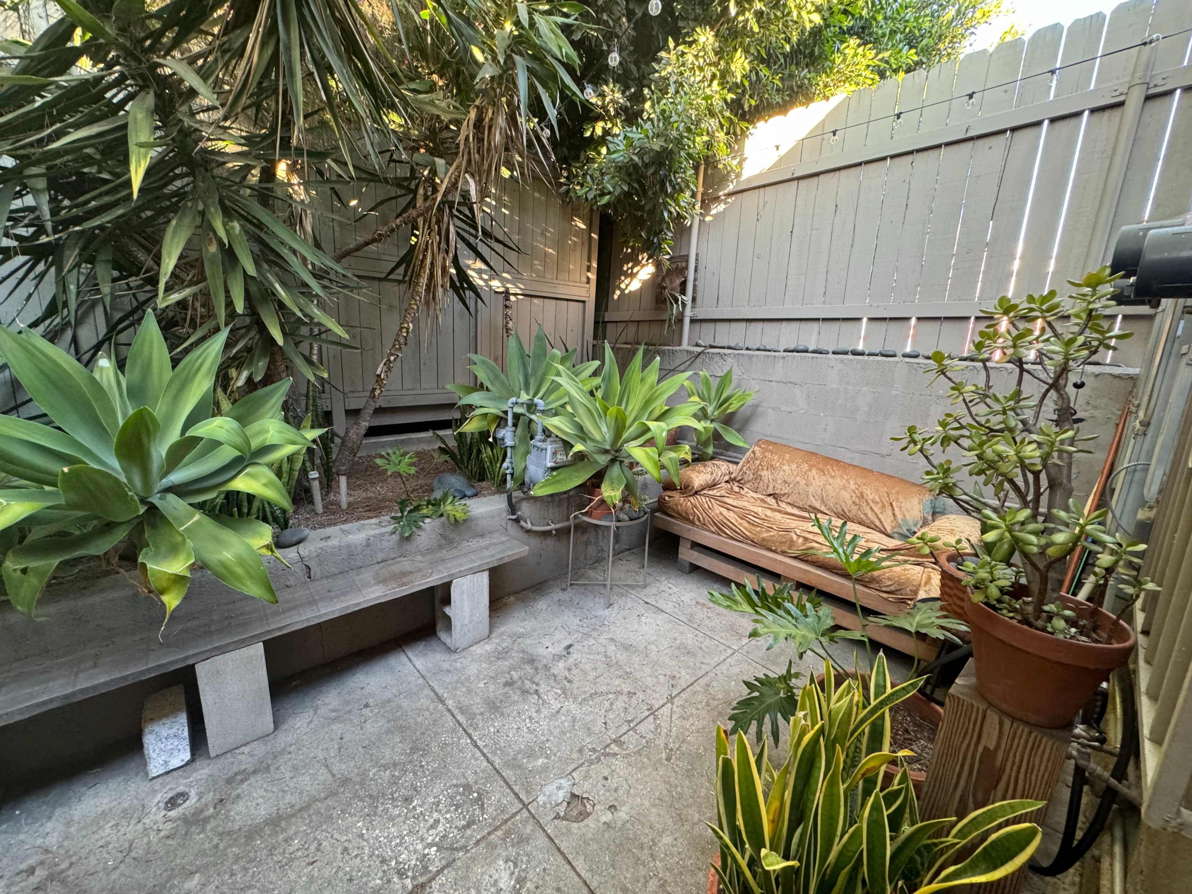The image shows a small outdoor space with a bench, a couch covered with fabric, and various potted plants surrounded by wooden fencing.