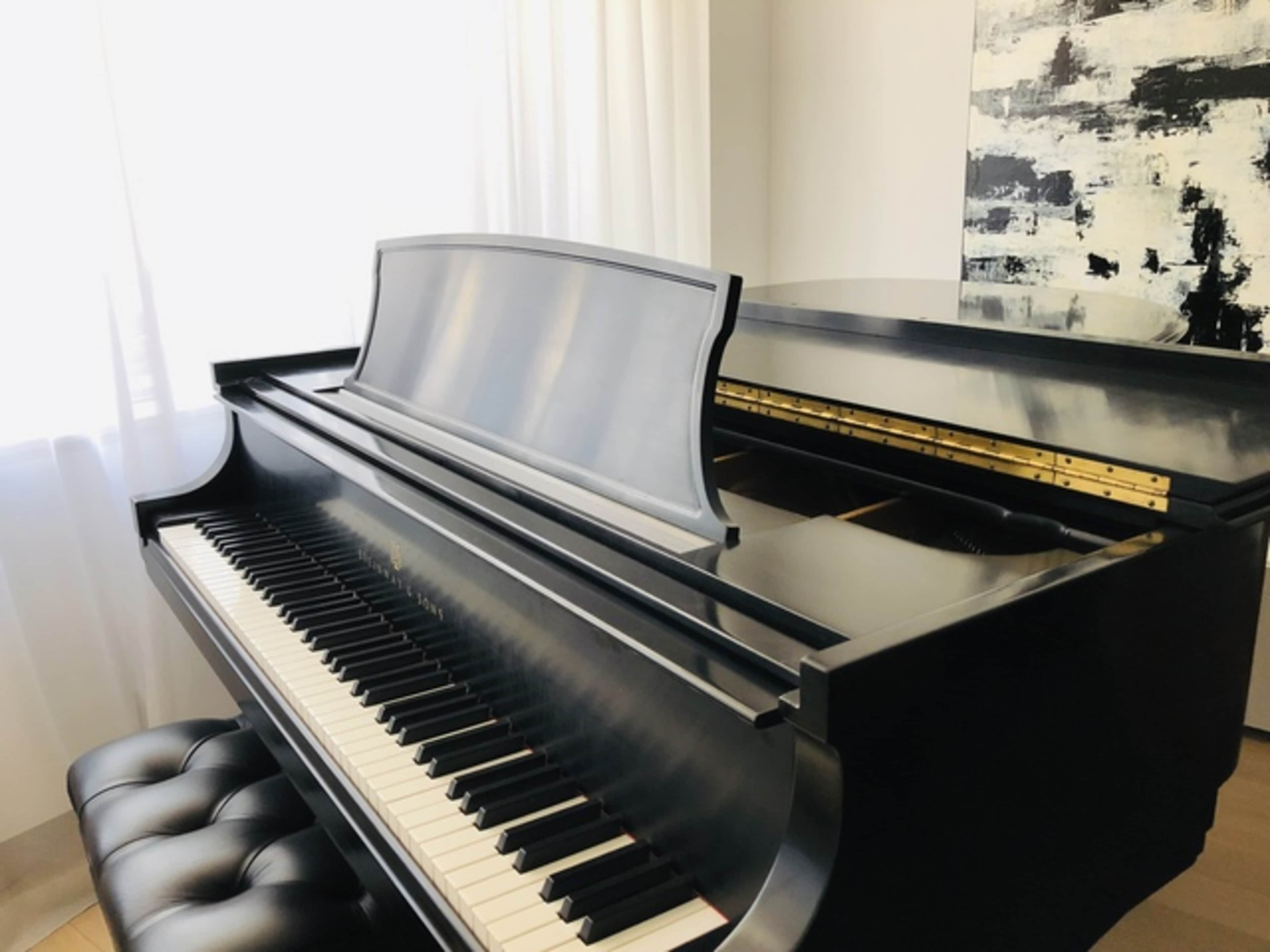 Steinway Grand Piano In Modern Luxury Midtown Apartment Image in Midtown Manhattan, New York, NY