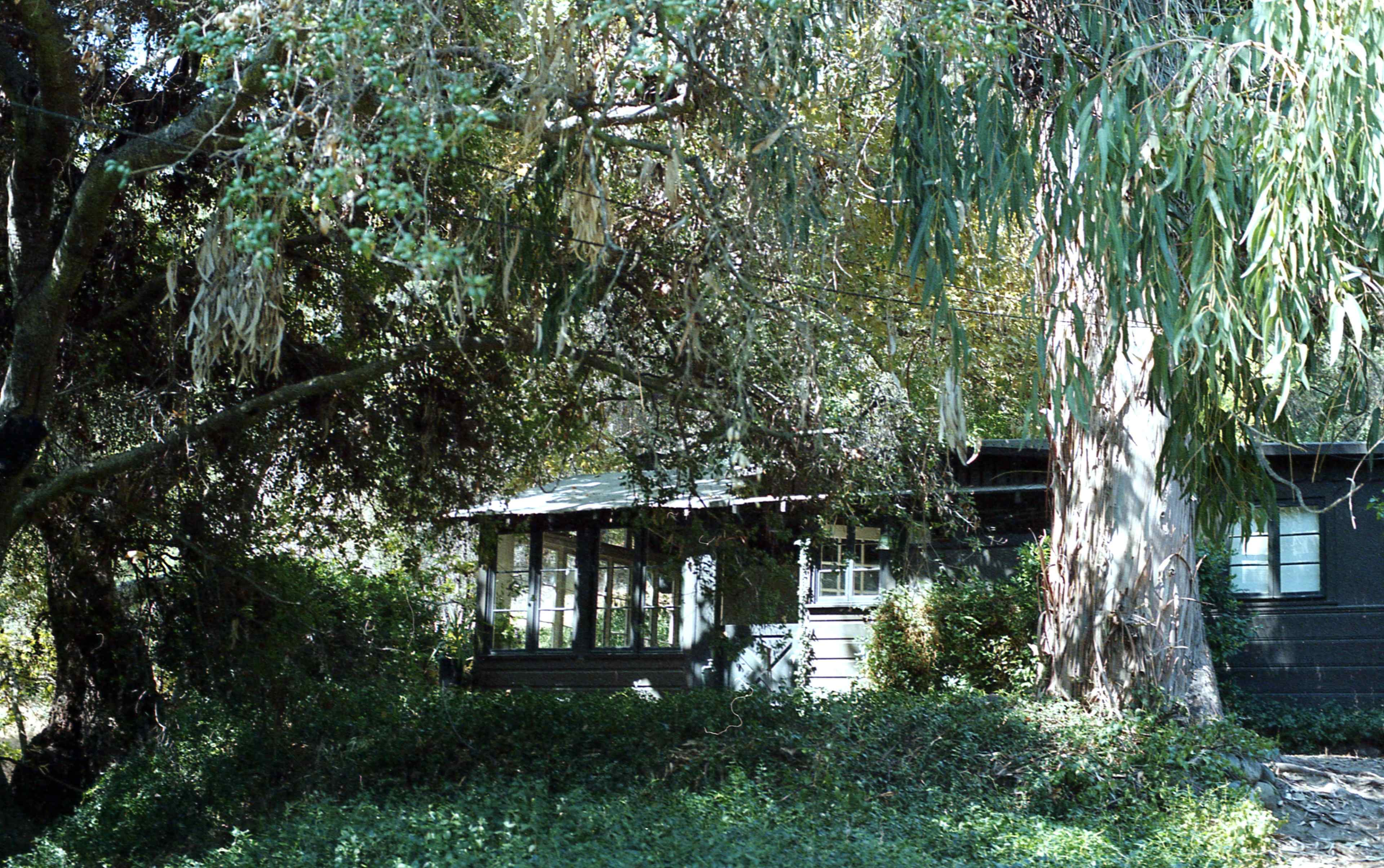 A small, dark house with a porch is partially obscured by trees and dense greenery.
