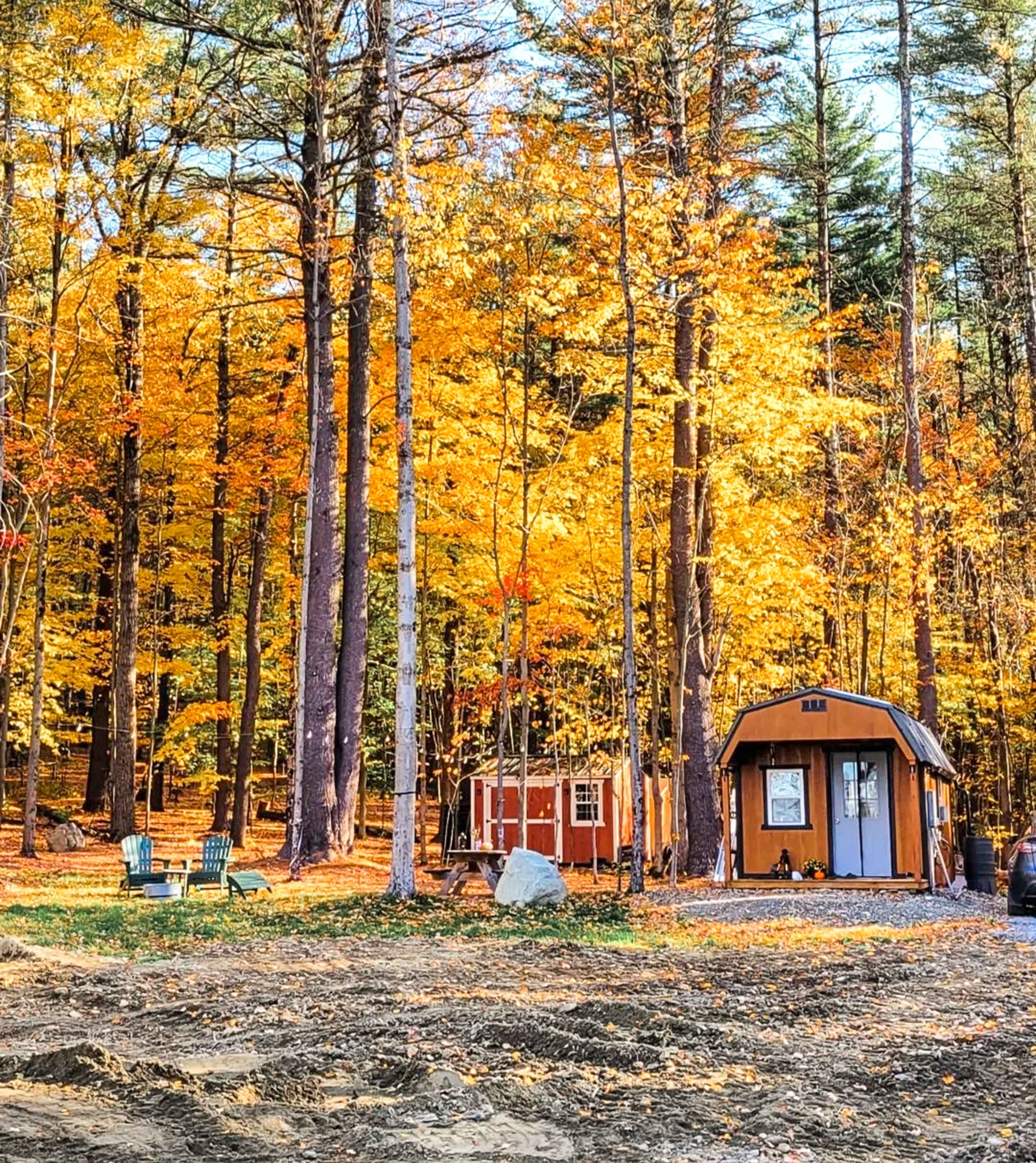 A small, wooden cabin and a shed are nestled among vibrant fall foliage in a forest clearing.