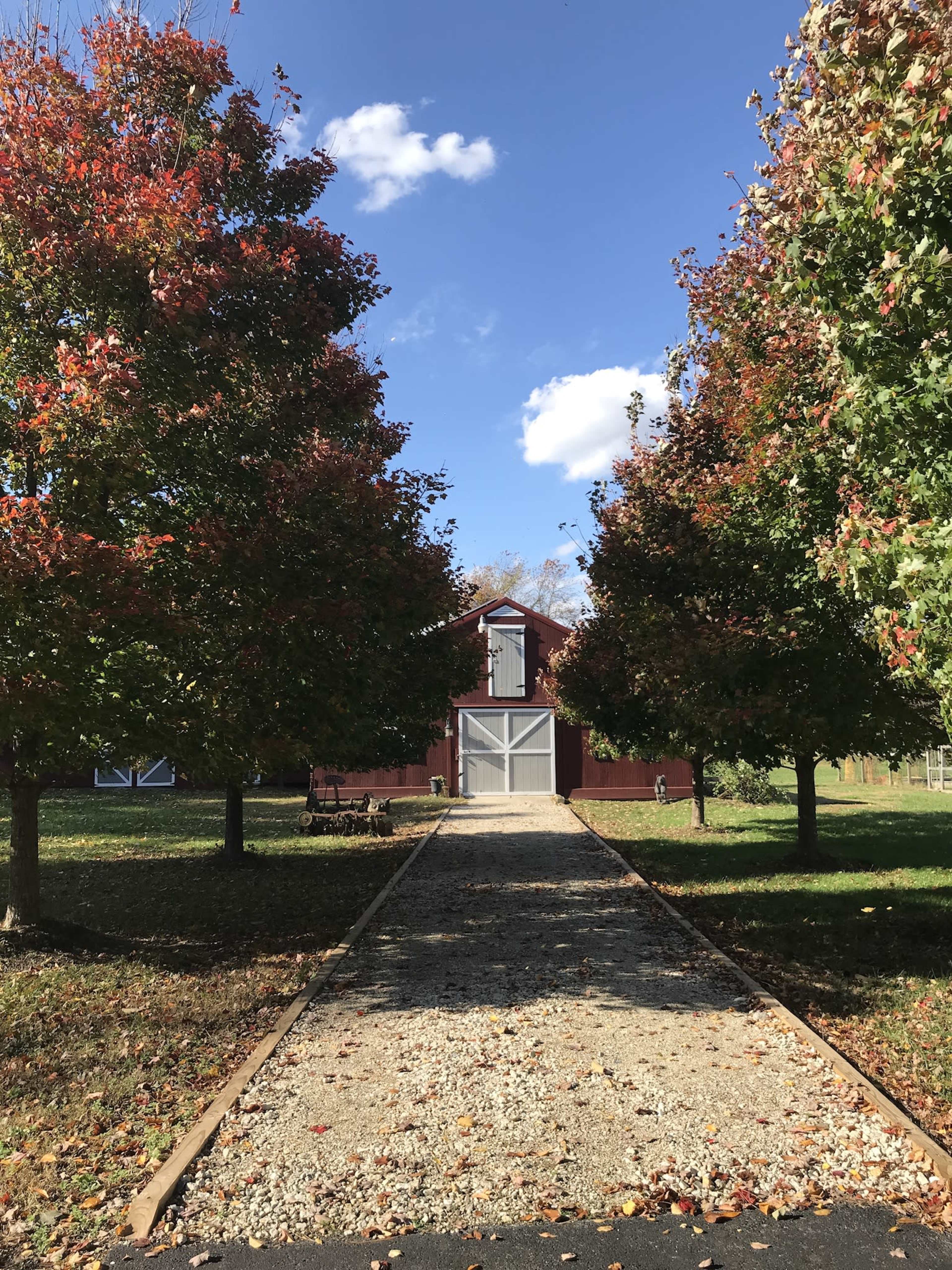 A gravel path leads to a red barn, framed by trees displaying autumn foliage under a clear blue sky.