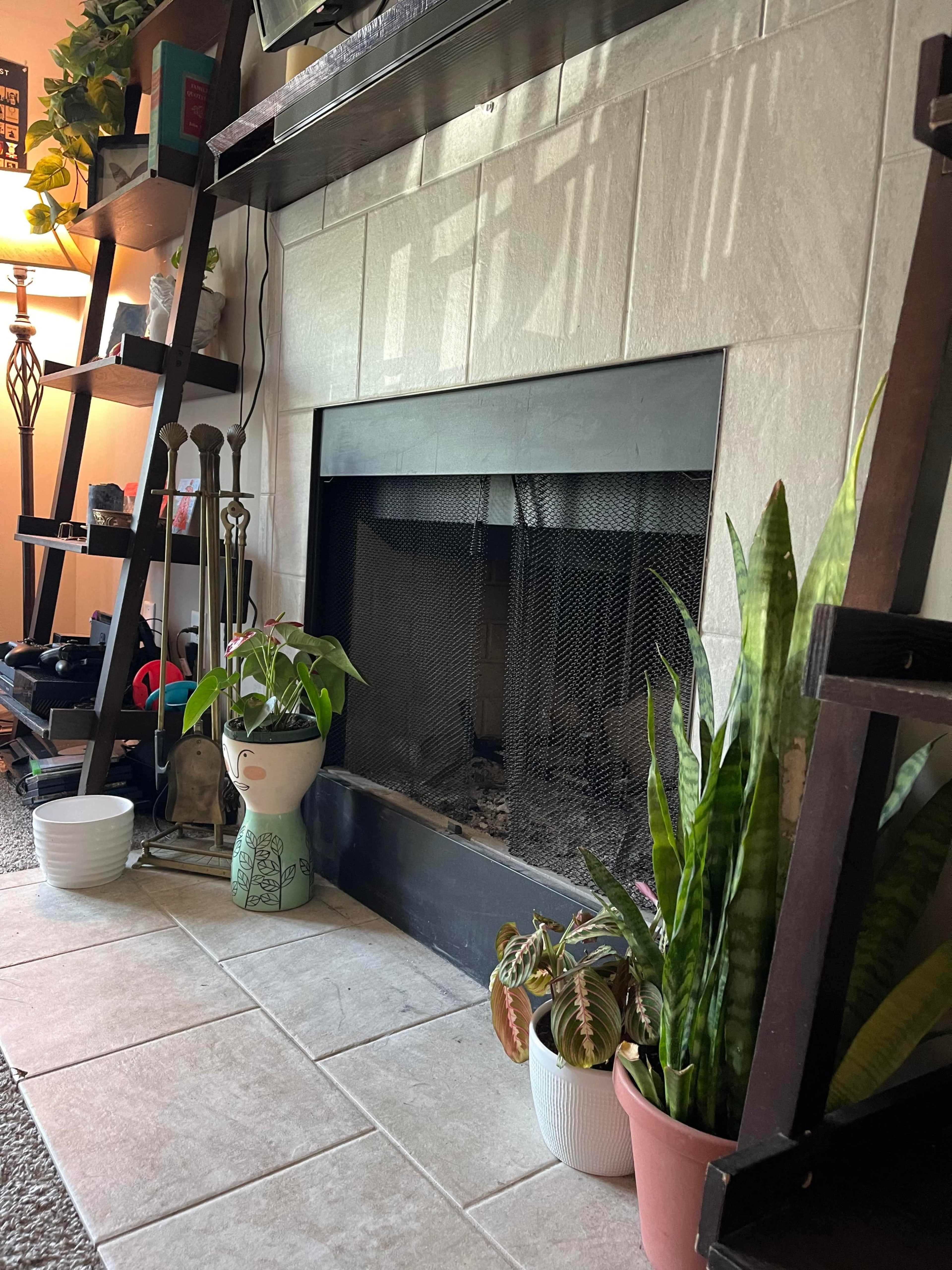 The image shows a fireplace with a metal screen, flanked by various potted plants on tiled flooring, along with a wooden shelf in the background.