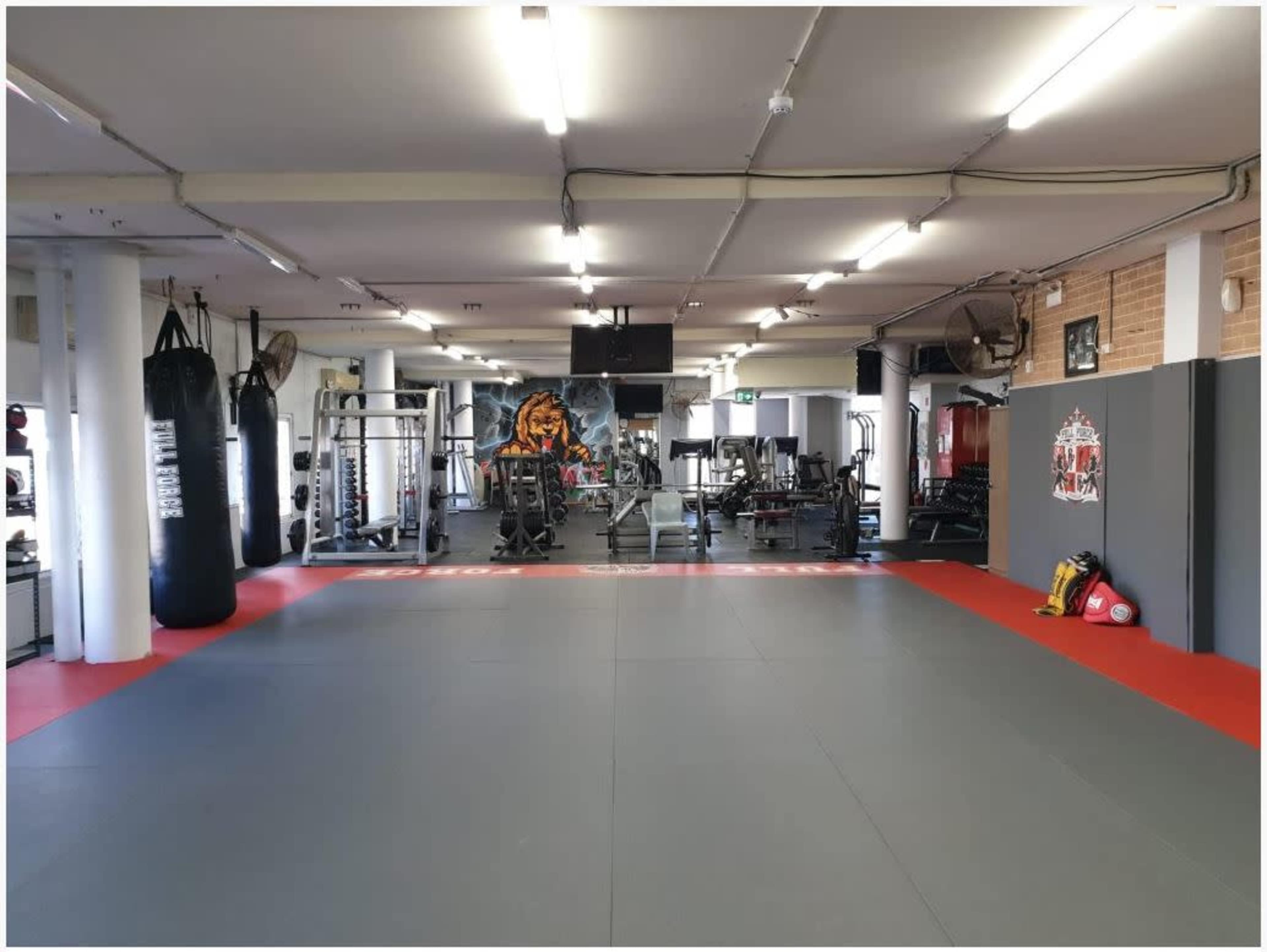 A gym interior with exercise equipment, mats, and a punching bag in a well-lit space.