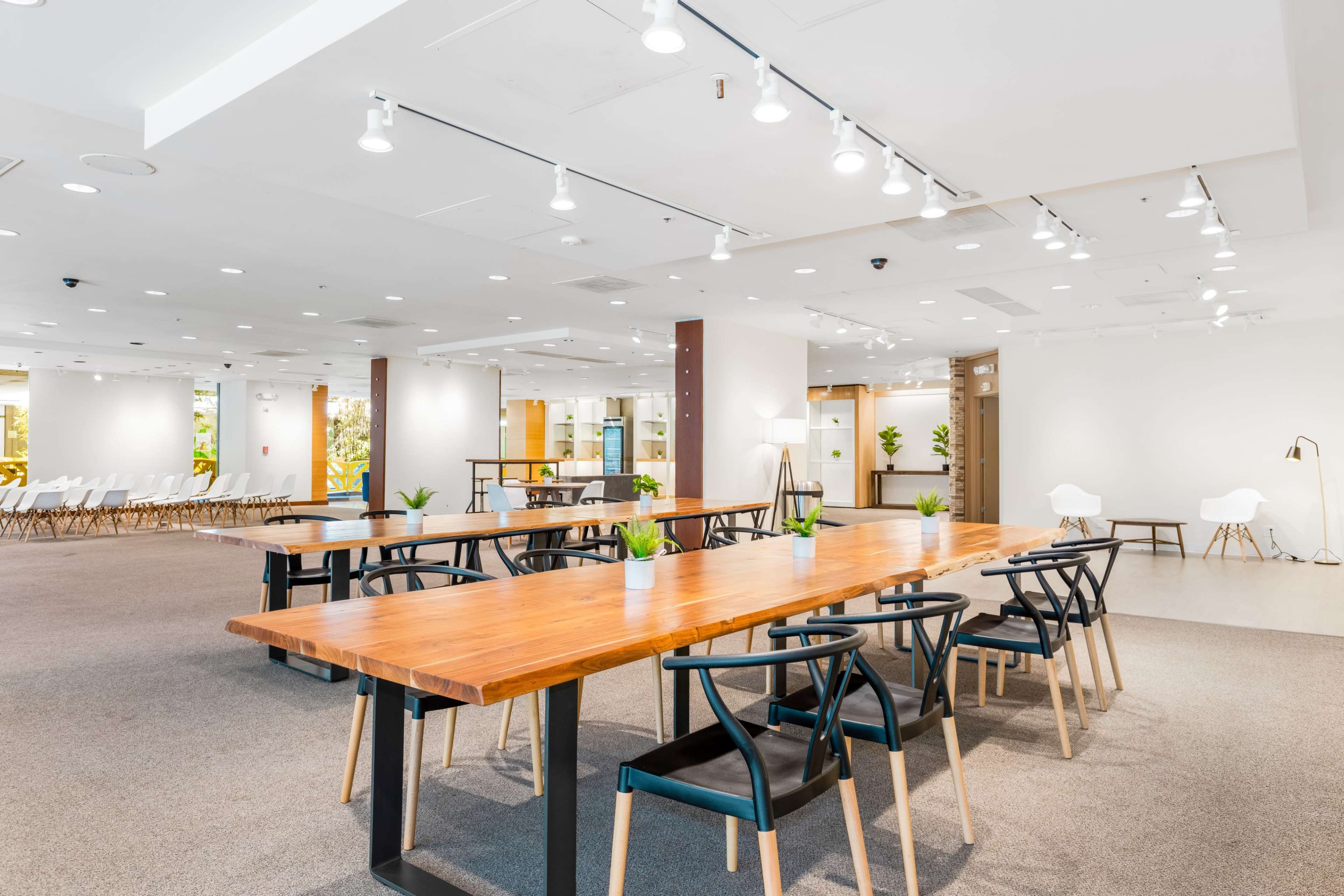 A spacious, well-lit room with multiple wooden tables, black chairs, and green plants arranged throughout.