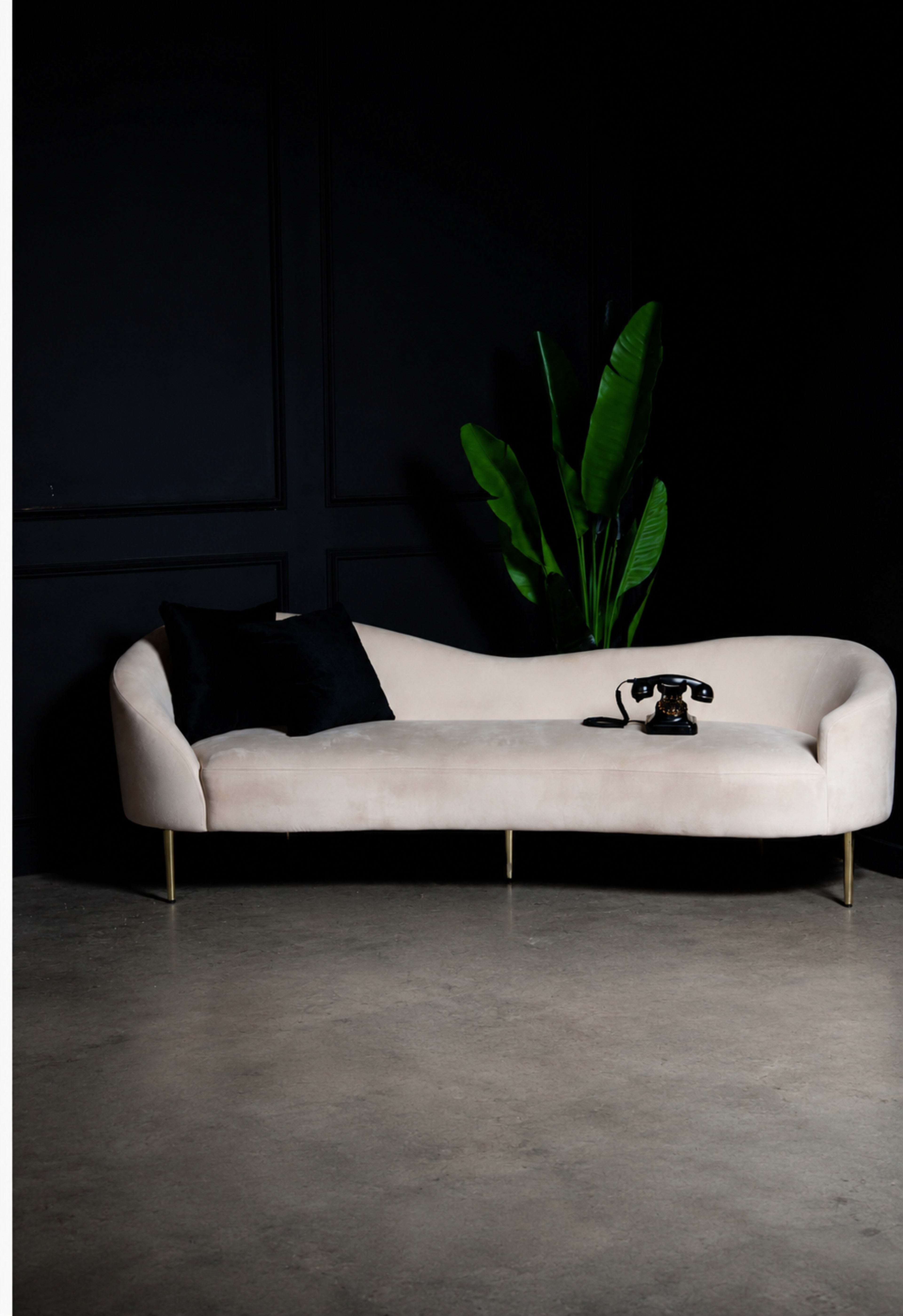 A curved, beige sofa with gold legs is positioned against a black wall, accompanied by a black cushion and a vintage telephone, with a large green plant in the background.