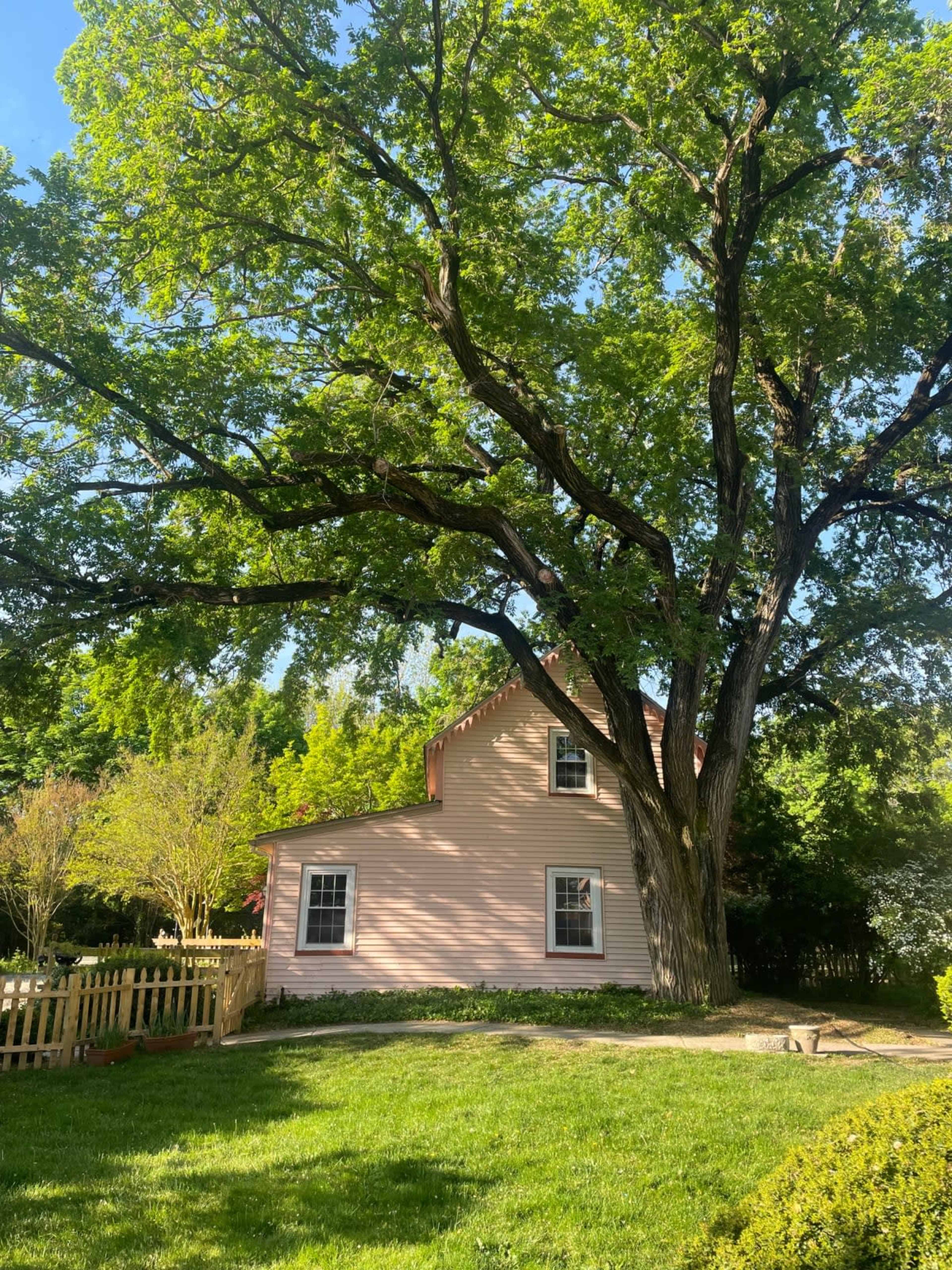 Charming and Whimsical Victorian Home & Property Image in Mauricetown, Mauricetown, NJ