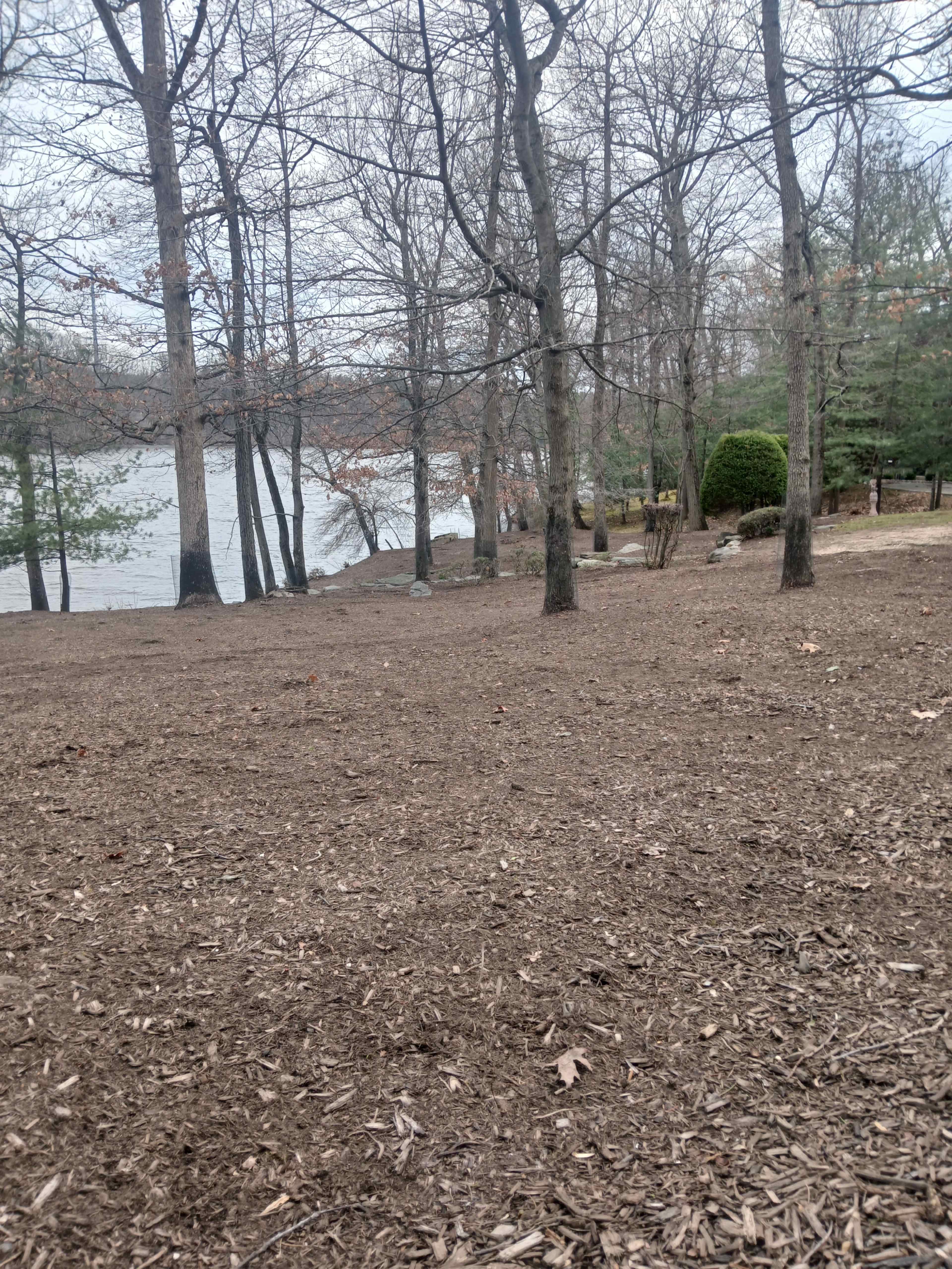 The image shows a wooded area with bare trees and a lake in the background, surrounded by a grassy shore.