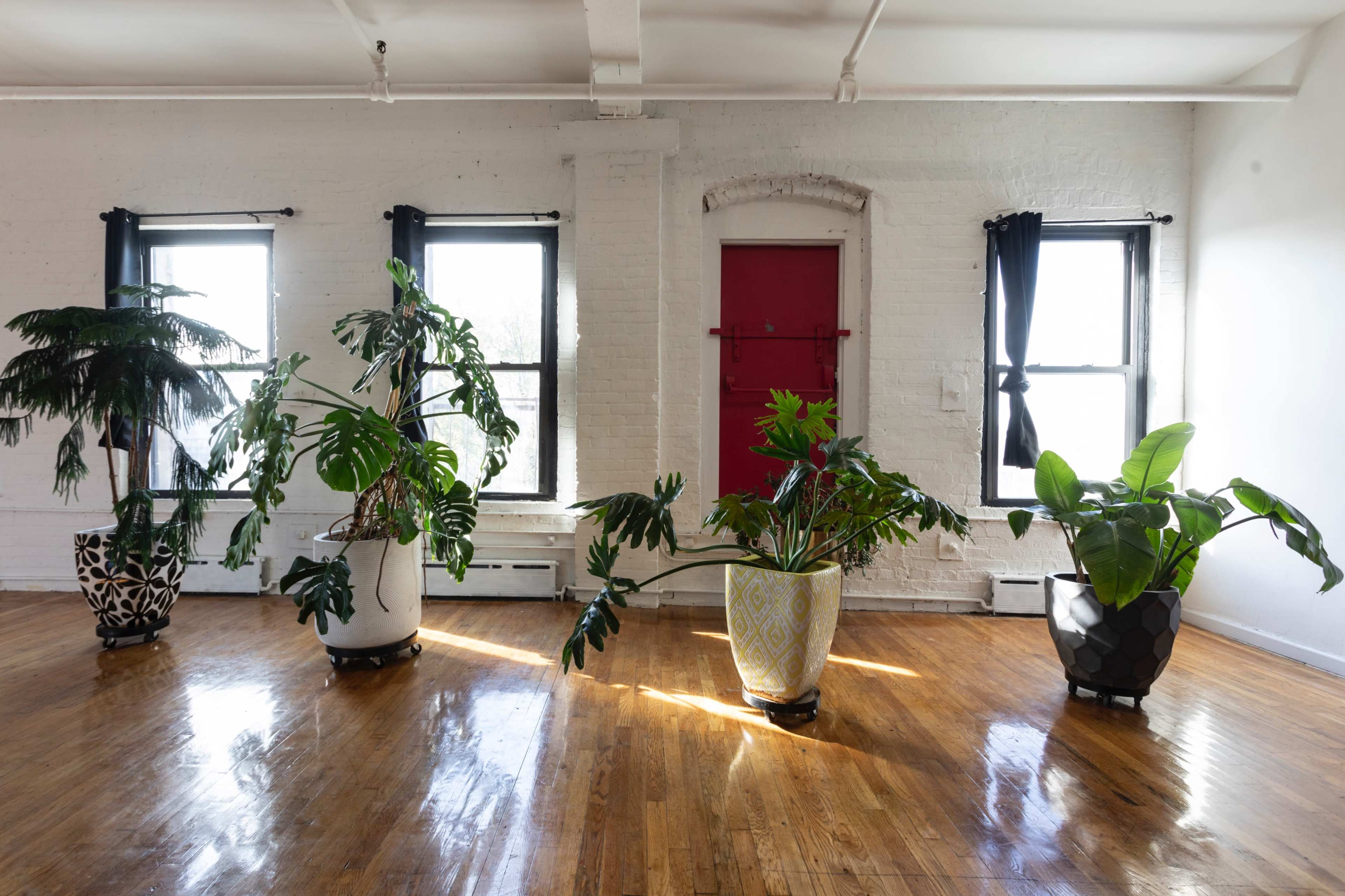 Matka Okno: 🌵Bushwick BRIGHT LIGHT Vintage Kitchen Corner Loft + Profoto+ARRI Lighting 🌿 Urban Jungle 🌿 20+ Color Seamless/Profoto 🌵Morgan L Image in Bushwick, Brooklyn, NY