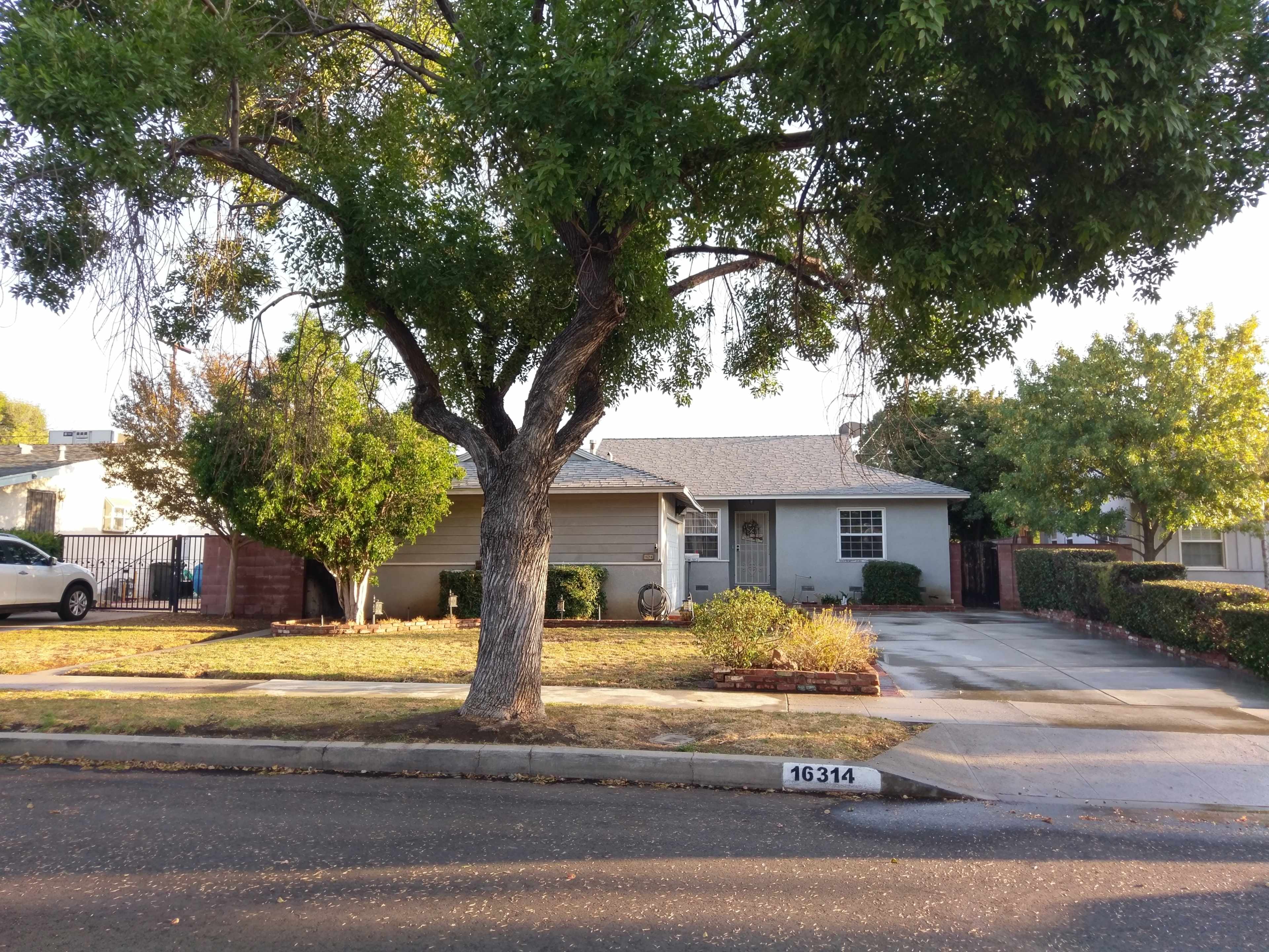 A single-story house with a large tree in the front yard and a driveway is situated on a quiet street.