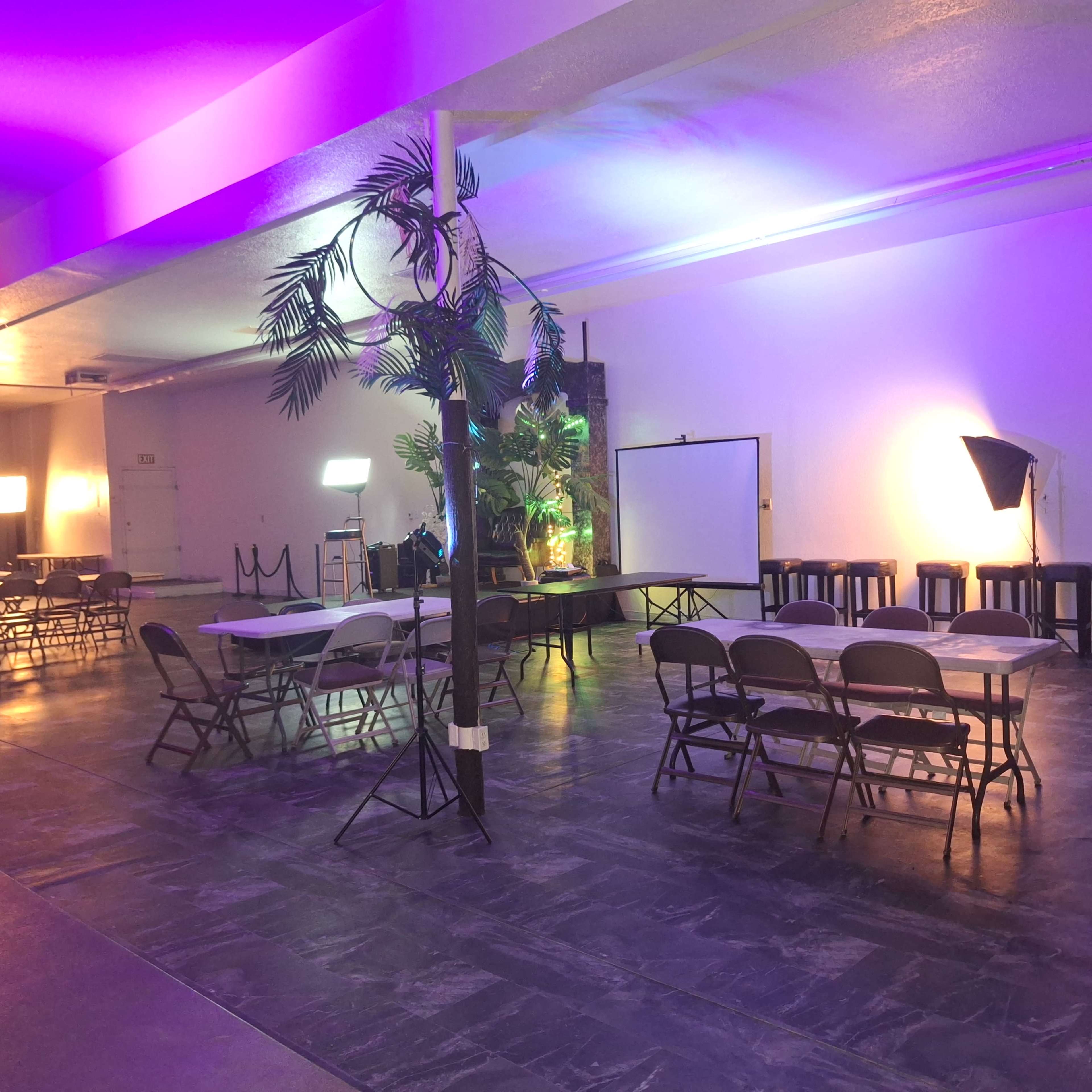 The image shows a spacious event venue with tables and chairs arranged, illuminated by colorful lighting and decorated with plants.