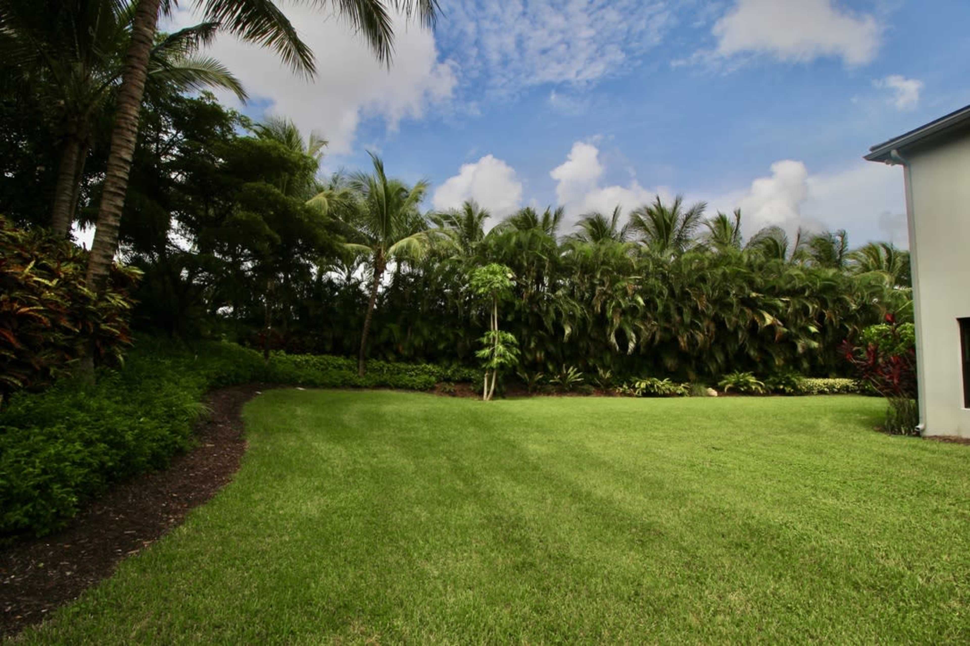 The image shows a grassy lawn lined with tropical plants and trees under a blue sky with scattered clouds.